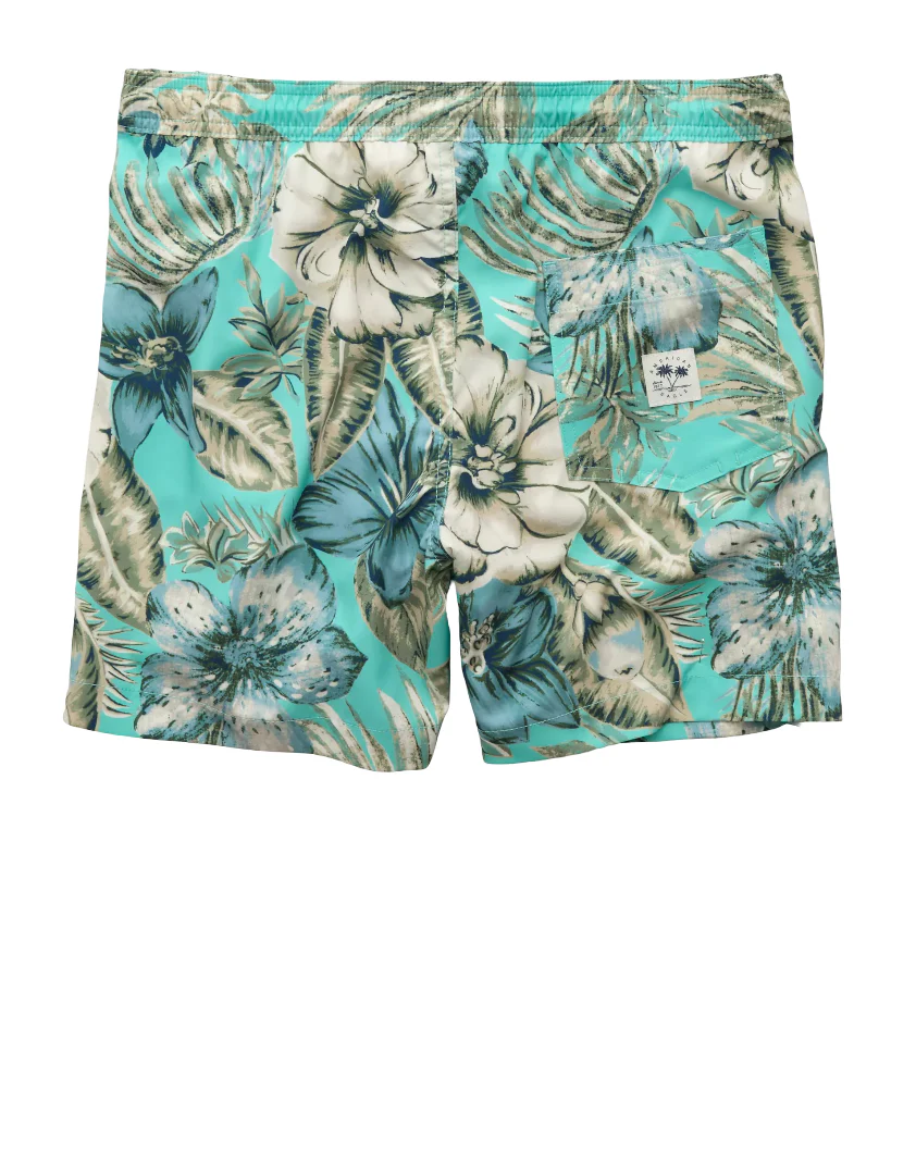 American Eagle Mens AE 5" Flex Swim Trunks - Image 2