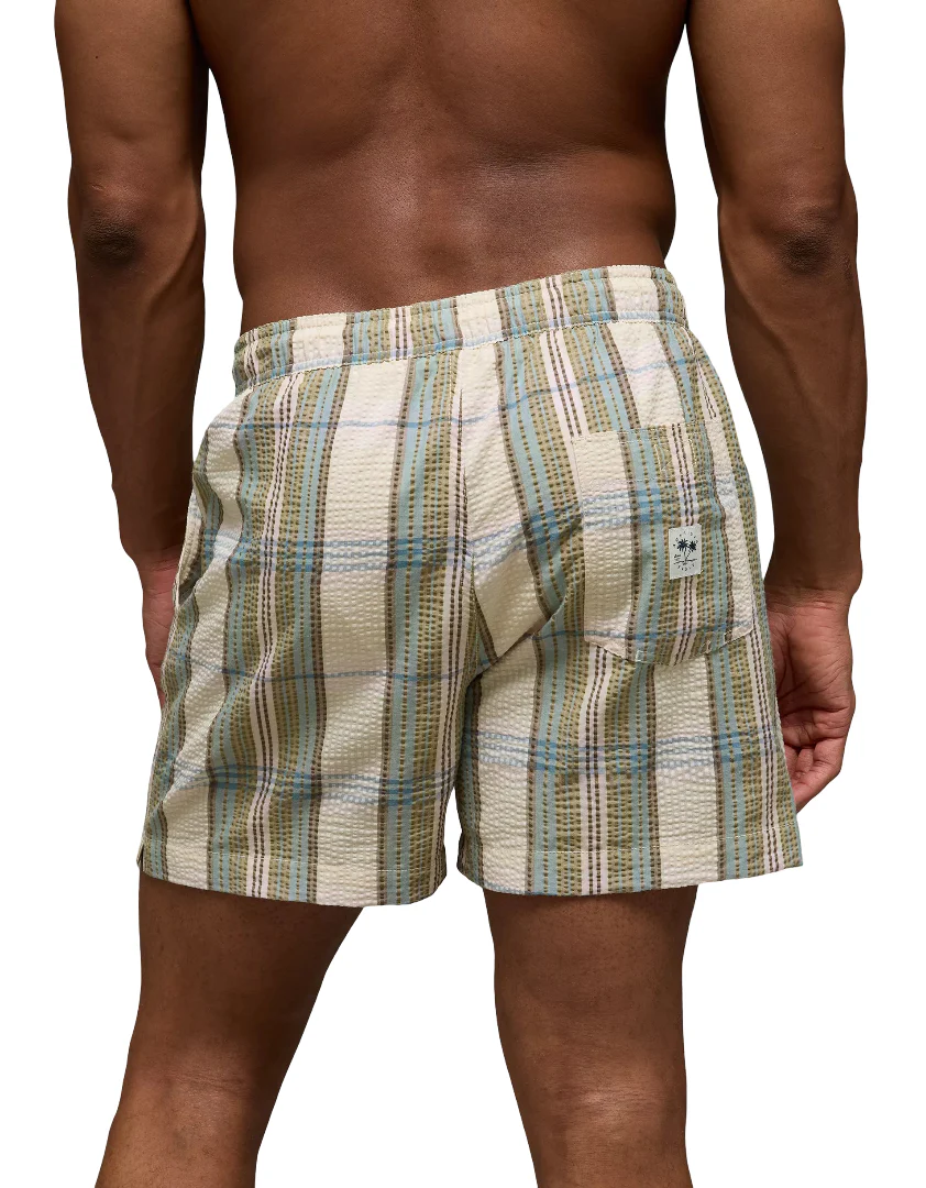 American Eagle Mens AE 5" Flex Swim Trunks - Image 4