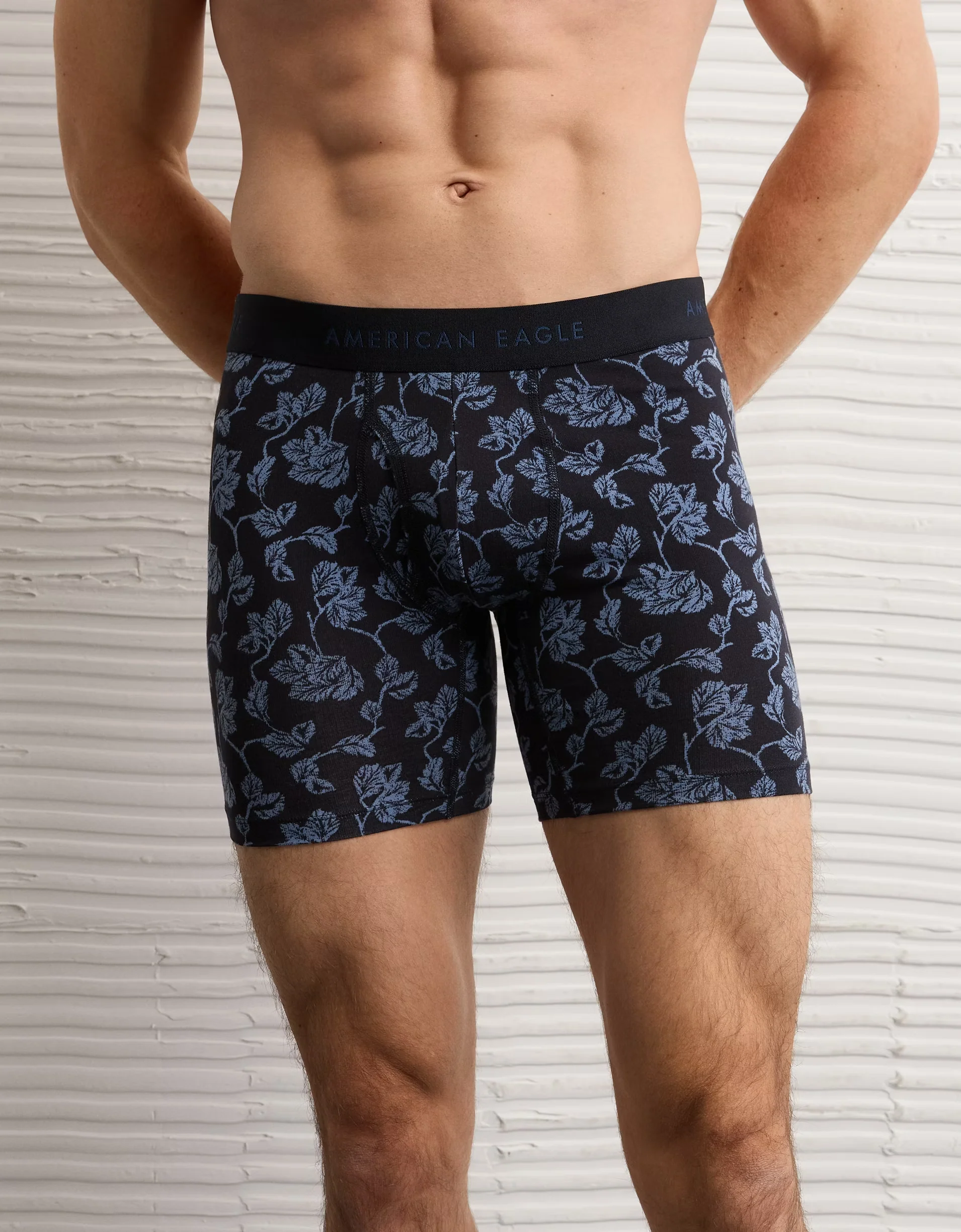 American Eagle Mens AEO Striped 6" Classic Boxer Briefs - Image 4