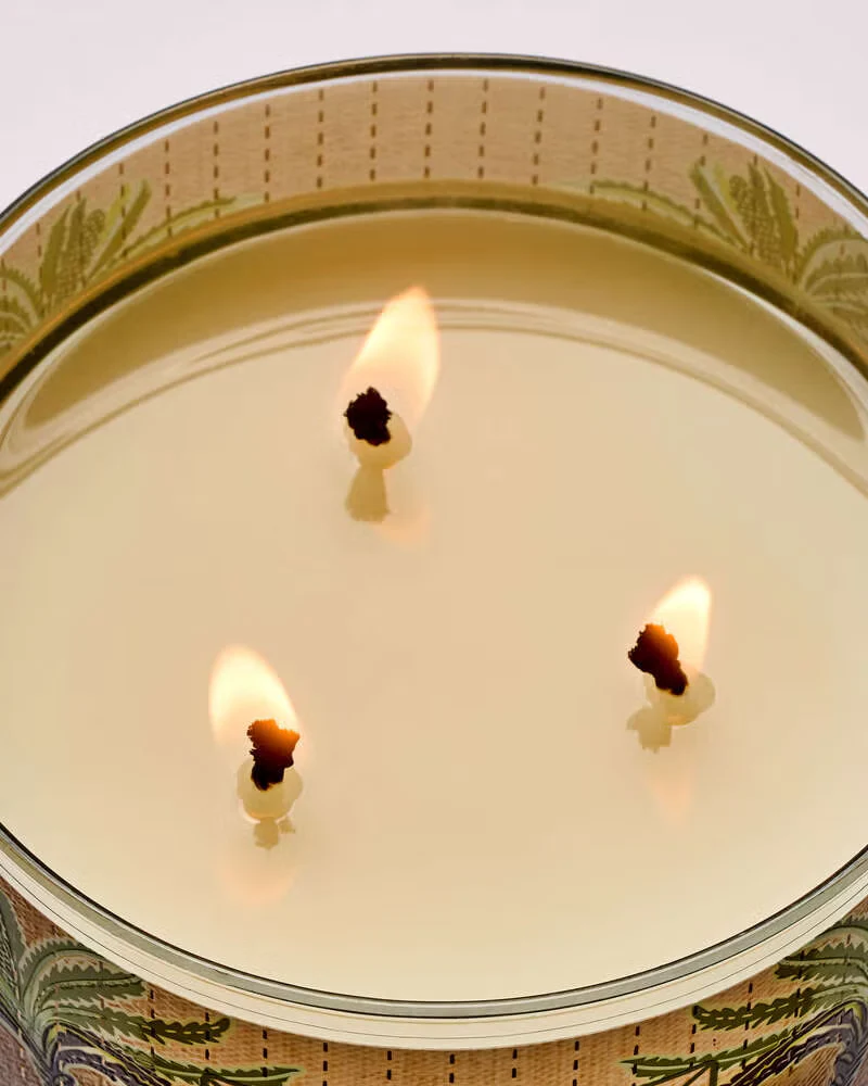 Bath & Body Works 3-Wick Candle - Waikiki Beach Coconut - Image 4