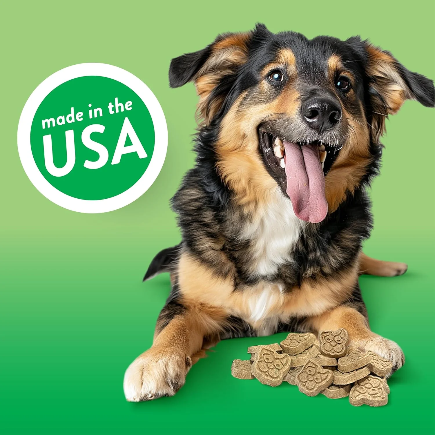 Spunky Pup Crunchy Biscuit Treats - Apple Fritter - Image 4