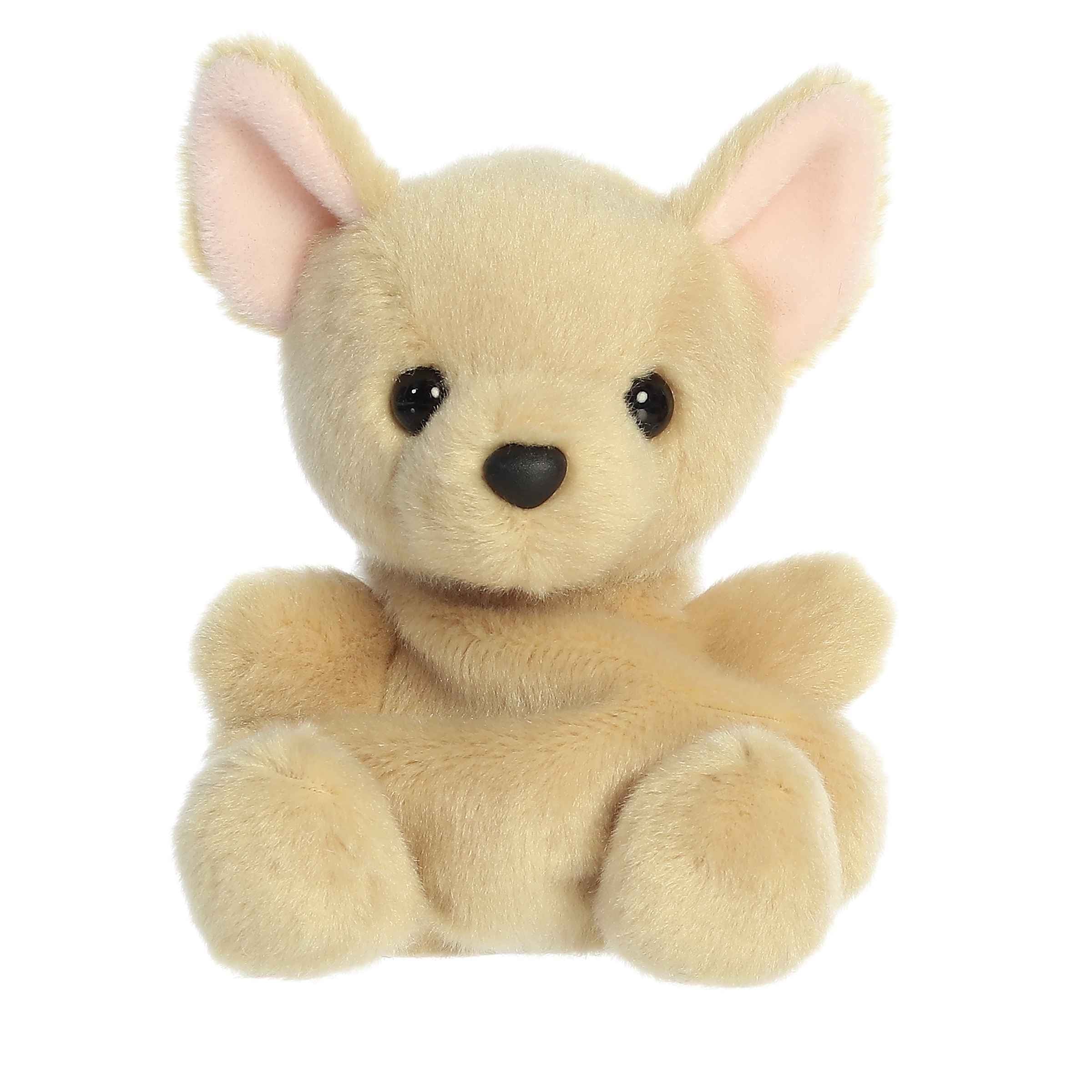 Aurora Palm Pals 5" Cookie Chihuahua Plush Toy