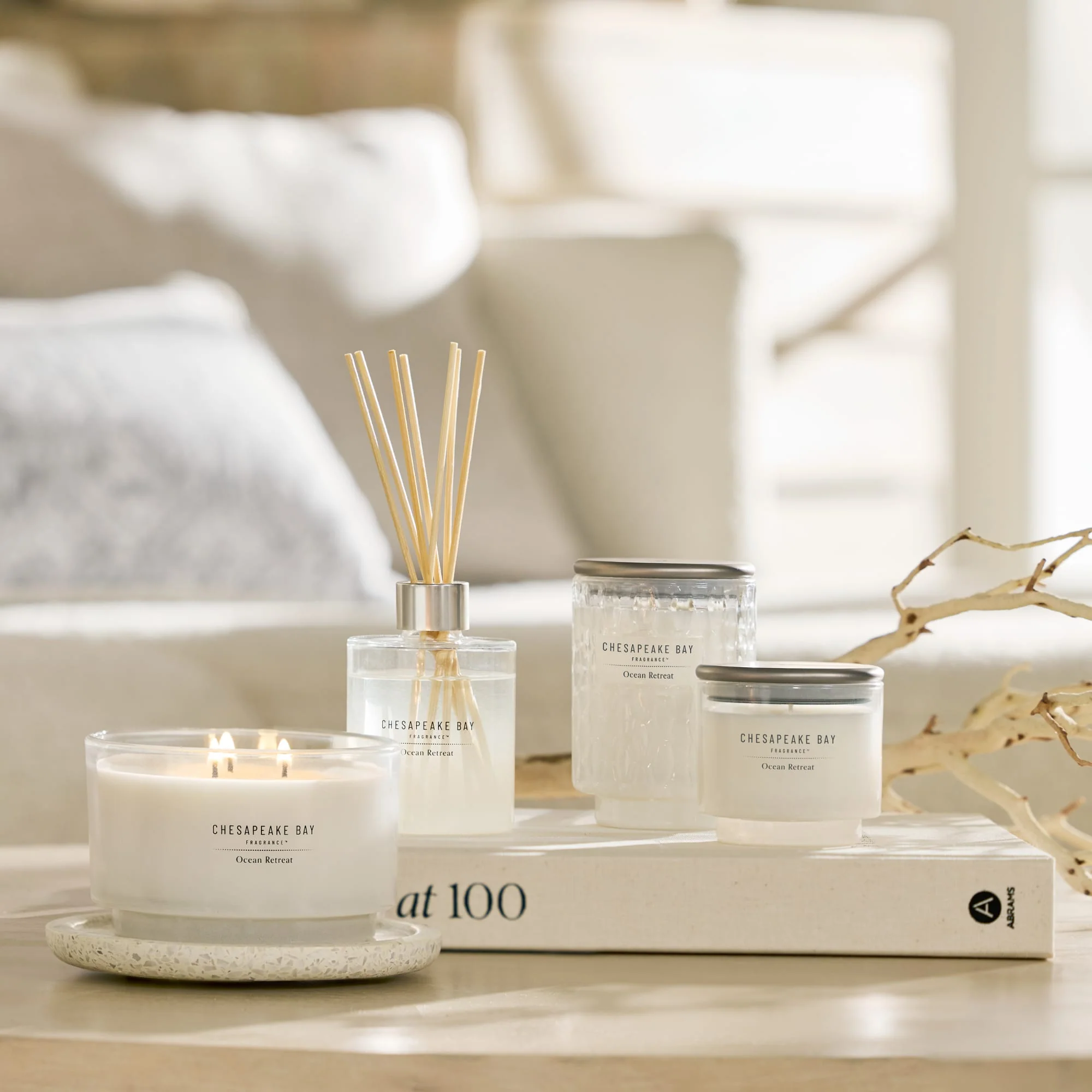 Chesapeake Bay Candle 2-Wick Large Jar Candle - Ocean Retreat - Image 8