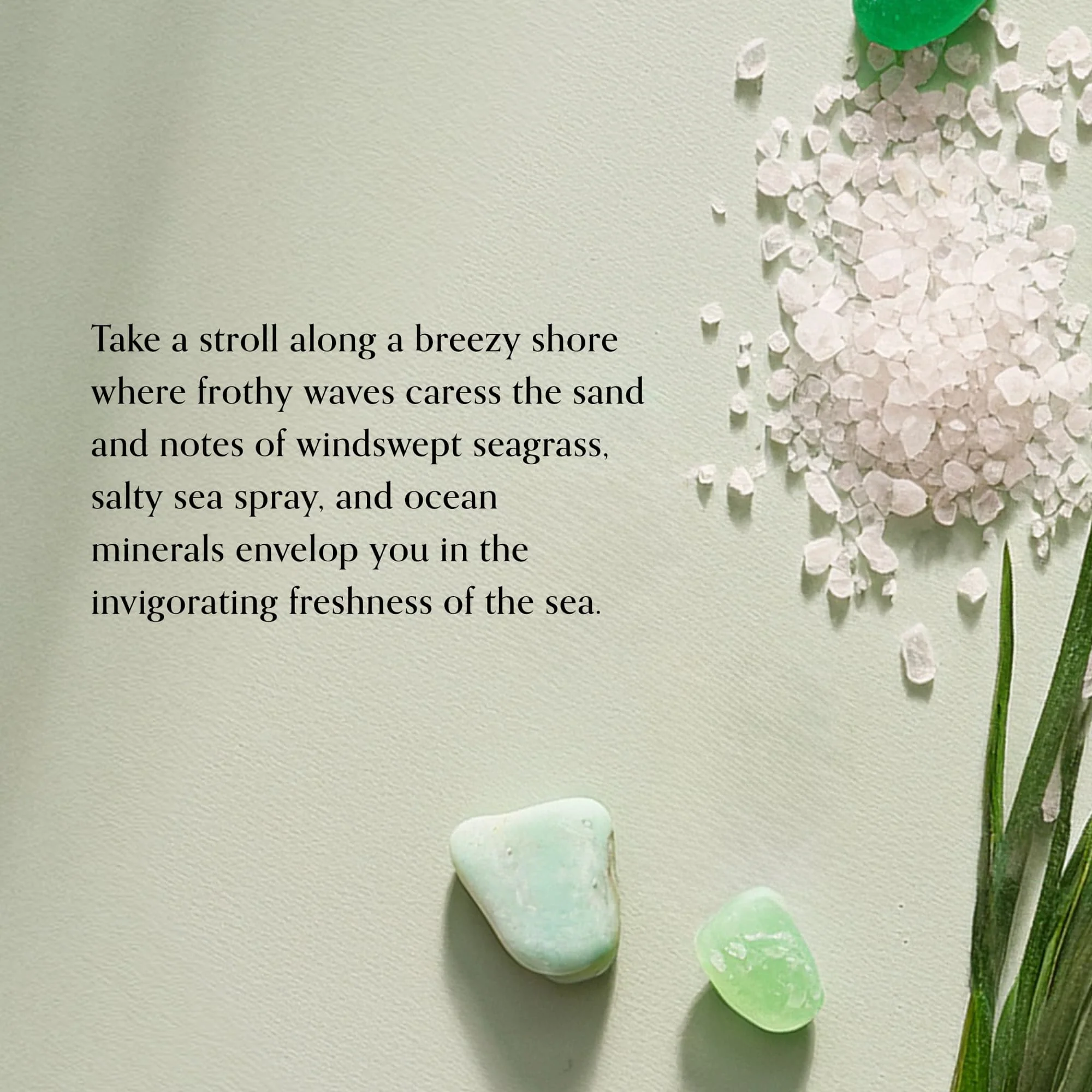 Chesapeake Bay Candle Reed Diffuser - Marine Drift - Image 3