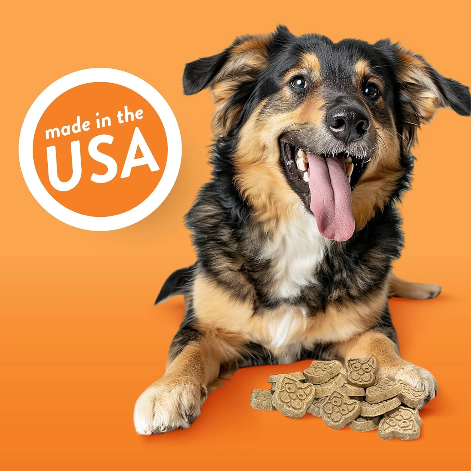 Spunky Pup Crunchy Biscuit Treats - Cheddar Bites - Image 4