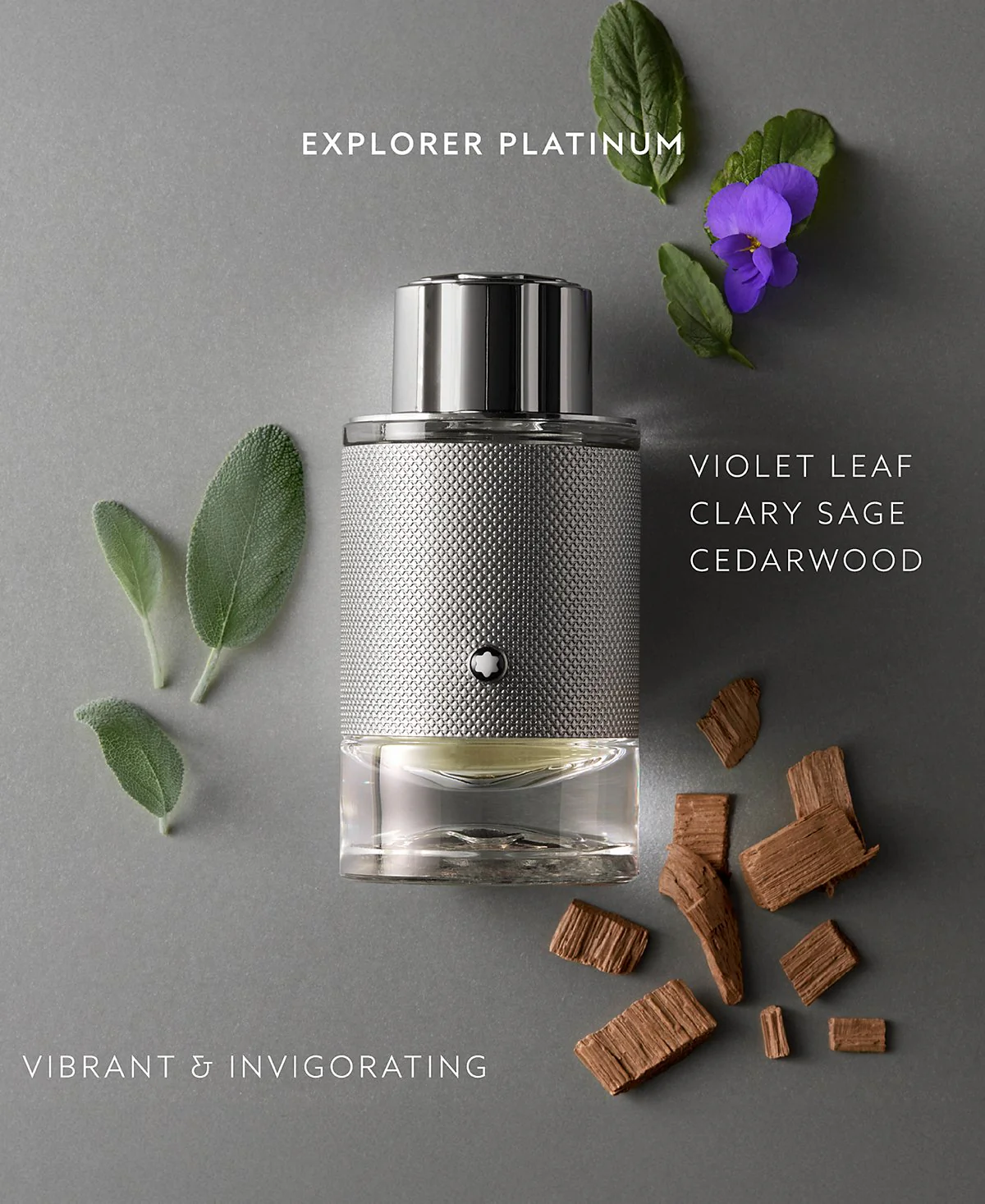 Montblanc Explorer Platinum Eau De Parfum 2-Piece Gift Set - Image 2
