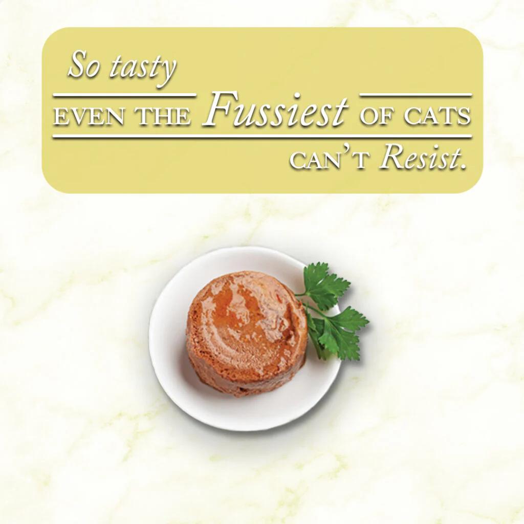 Fussie Cat Fine Dining Pate Chicken with Lamb Entree in Gravy Recipe Wet Cat Food - 2.82 oz. - Image 5