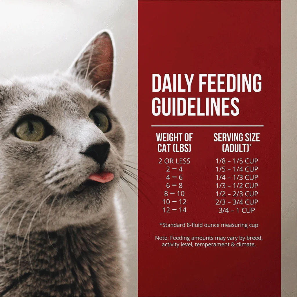 Fussie Cat Market Fresh Chicken & Turkey Recipe Dry Cat Food - 10 lbs. - Image 6