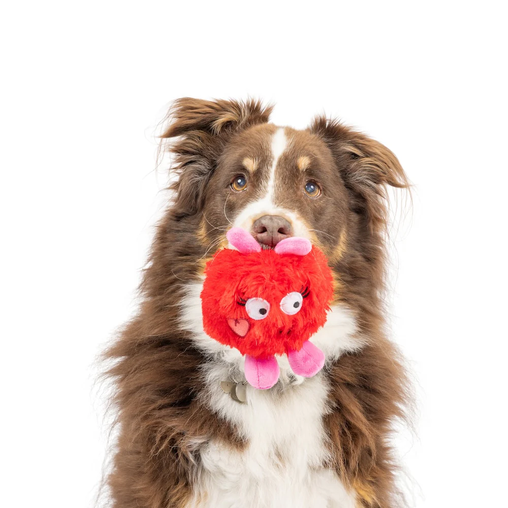 Huxley & Kent Power Fur Bug Plush Dog Toy - Image 4