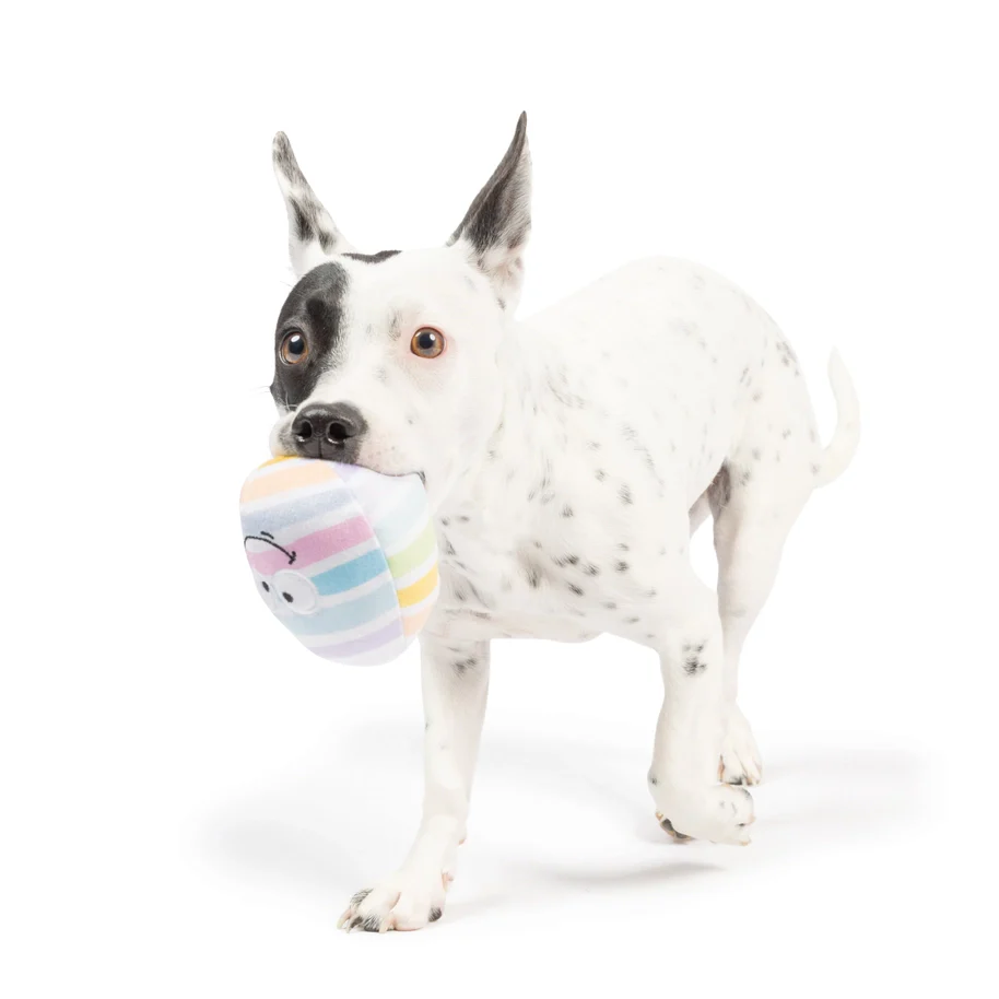 Huxley & Kent Tiny Tuff Squeaky Eggs Set - 2 pk - Image 2