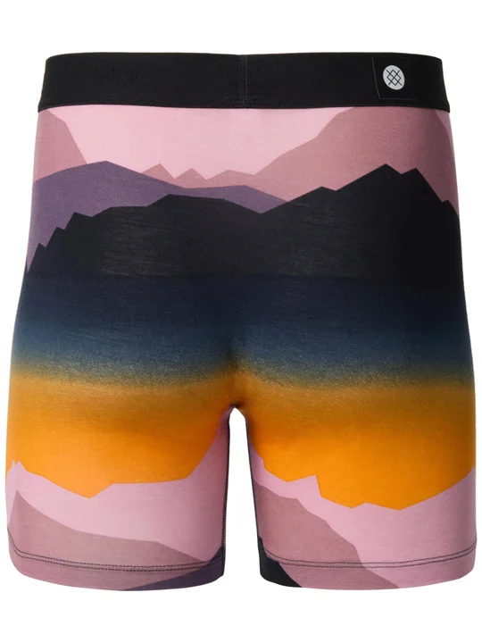 Stance Butter Blend with Wholester Boxer Brief - Image 2