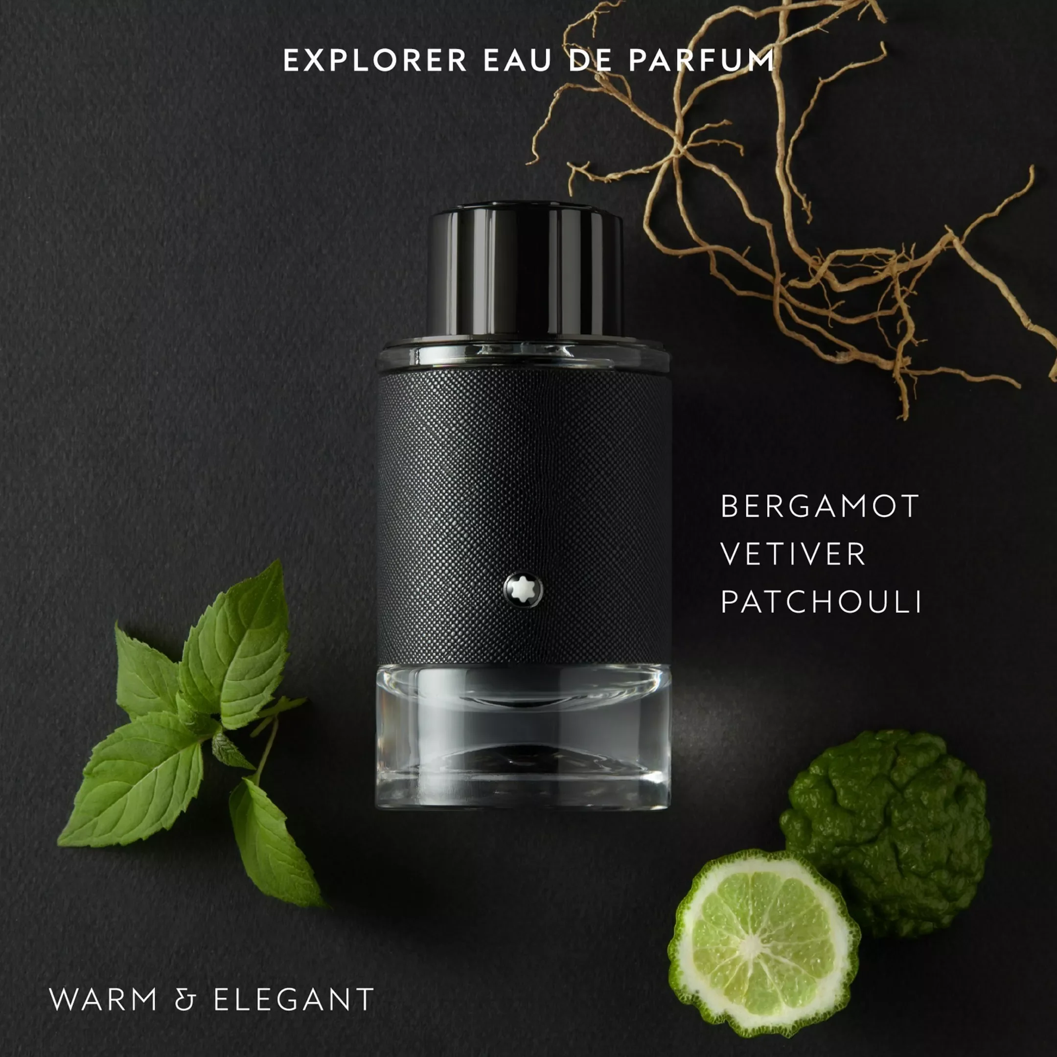 Montblanc Explorer Eau De Parfum - 3.3 oz. - Image 2