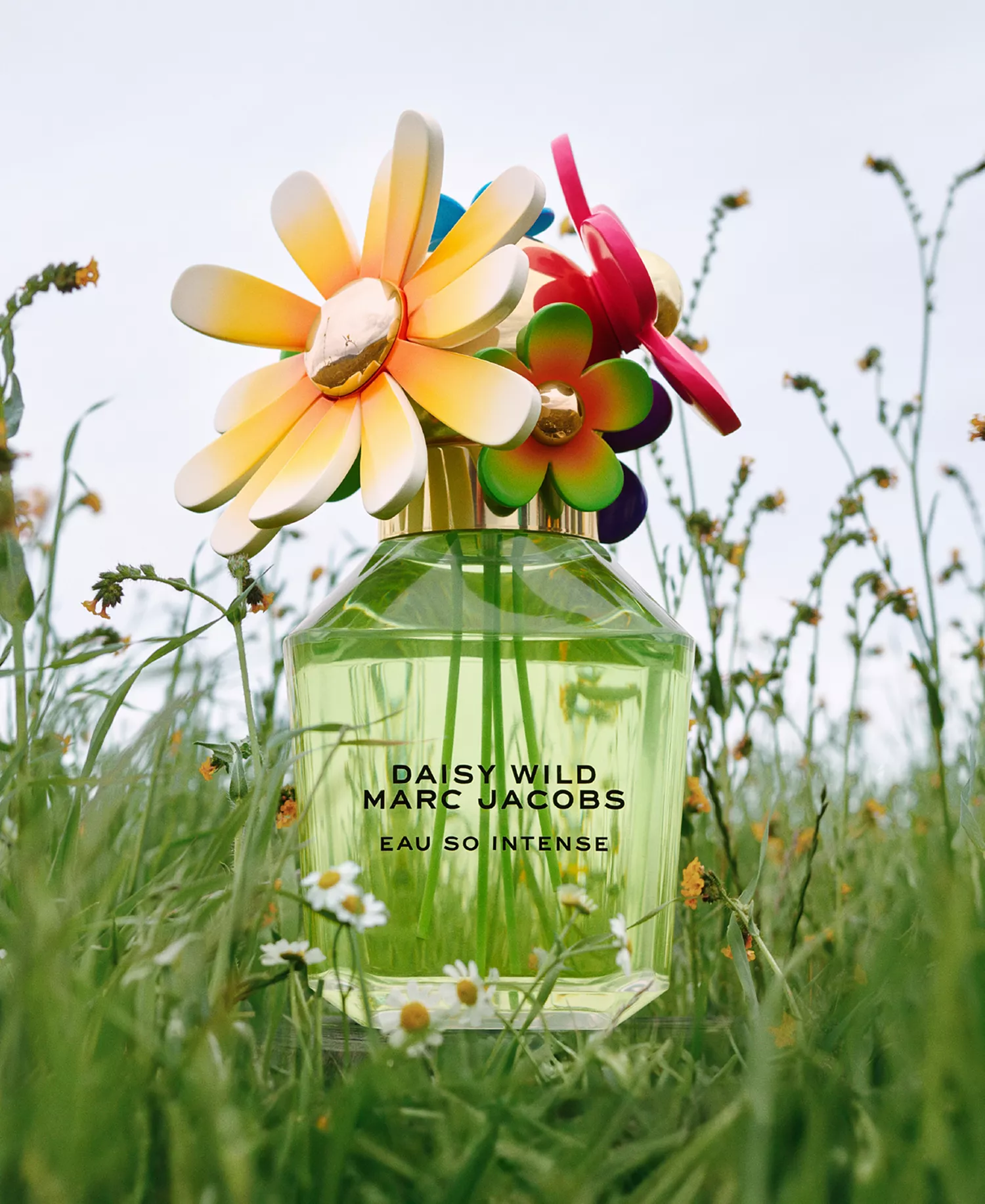 Marc Jacobs Daisy Wild So Intense Eau De Parfum Spray - 1.6 oz. - Image 5