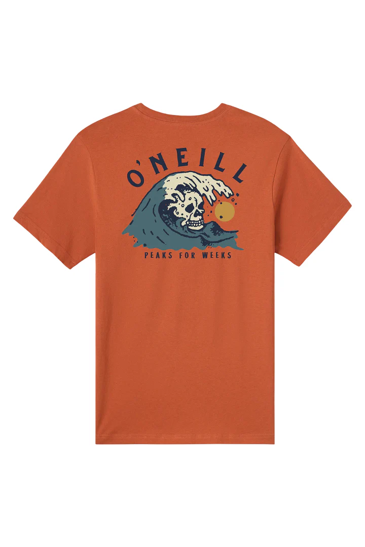 O'Neill Mens Sesh Classic Short Sleeve T-Shirt