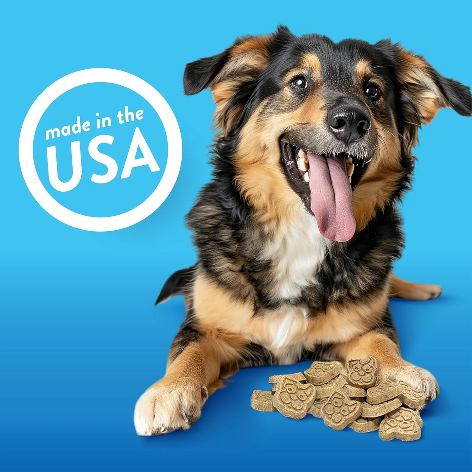 Spunky Pup Crunchy Biscuit Treats - Peanut Butter Crunch - Image 4