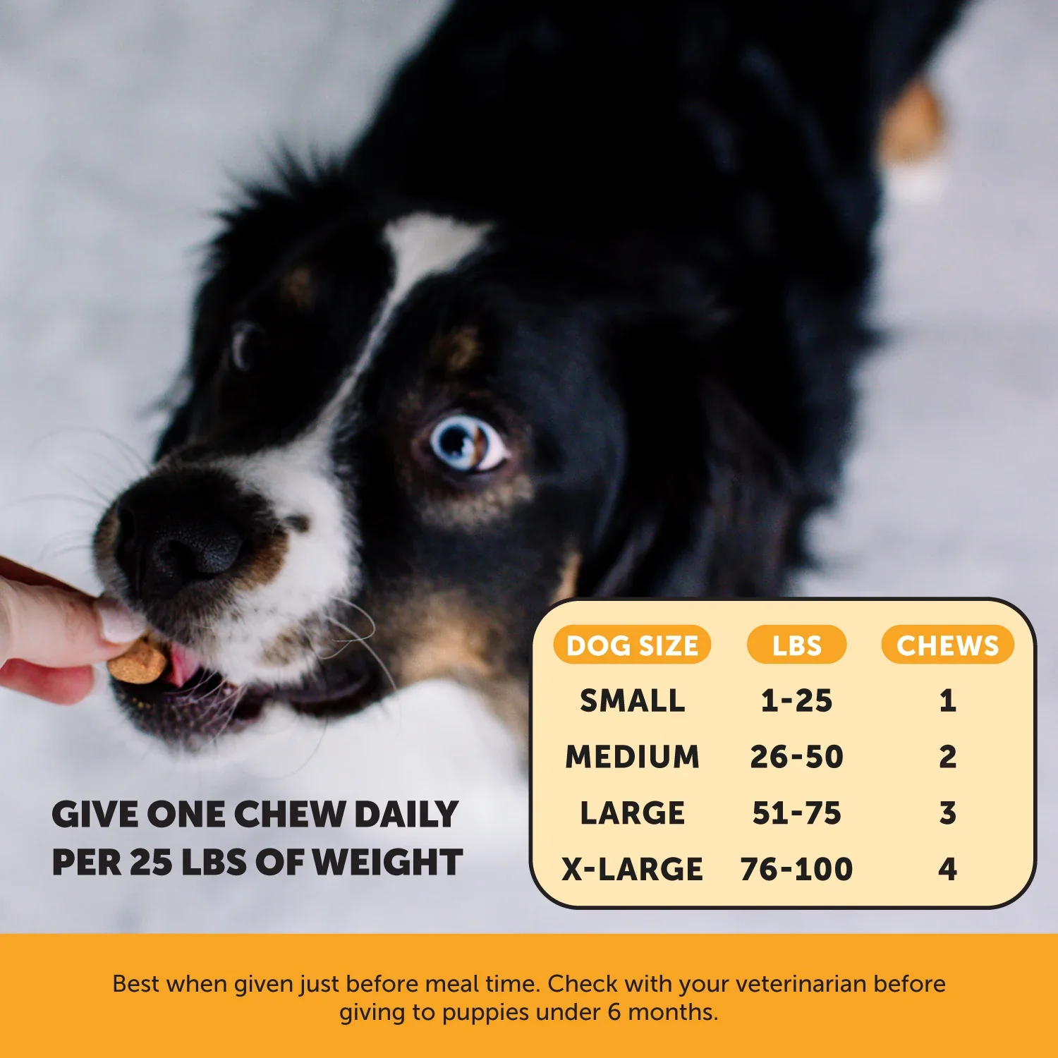 Pet Honesty Allergy Skin Health Chews For Dogs - Salmon Flavor - 9.5 oz. - Image 5