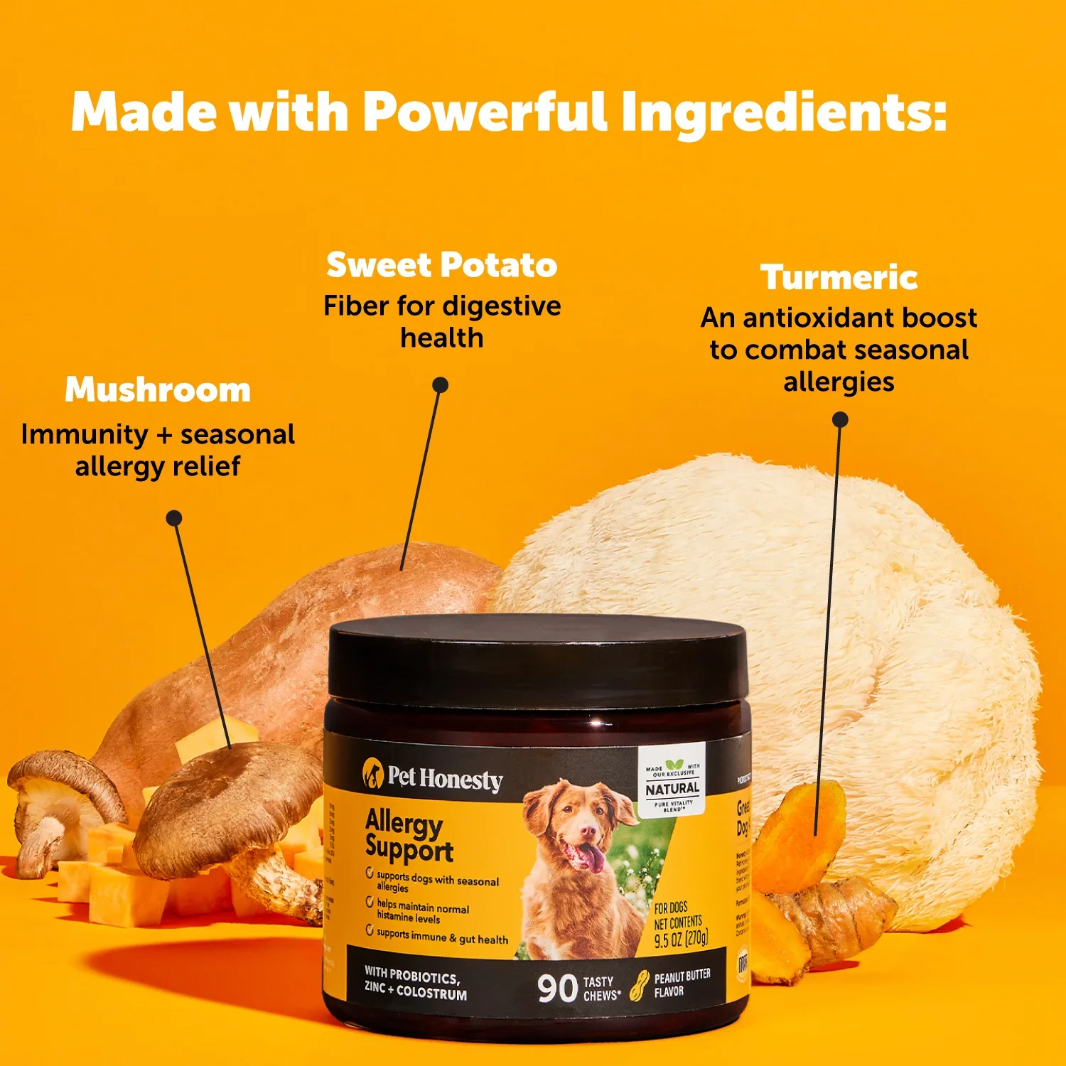 Pet Honesty Allergy Support Chews For Dogs - Peanut Butter Flavor - 9.5 oz. - Image 4