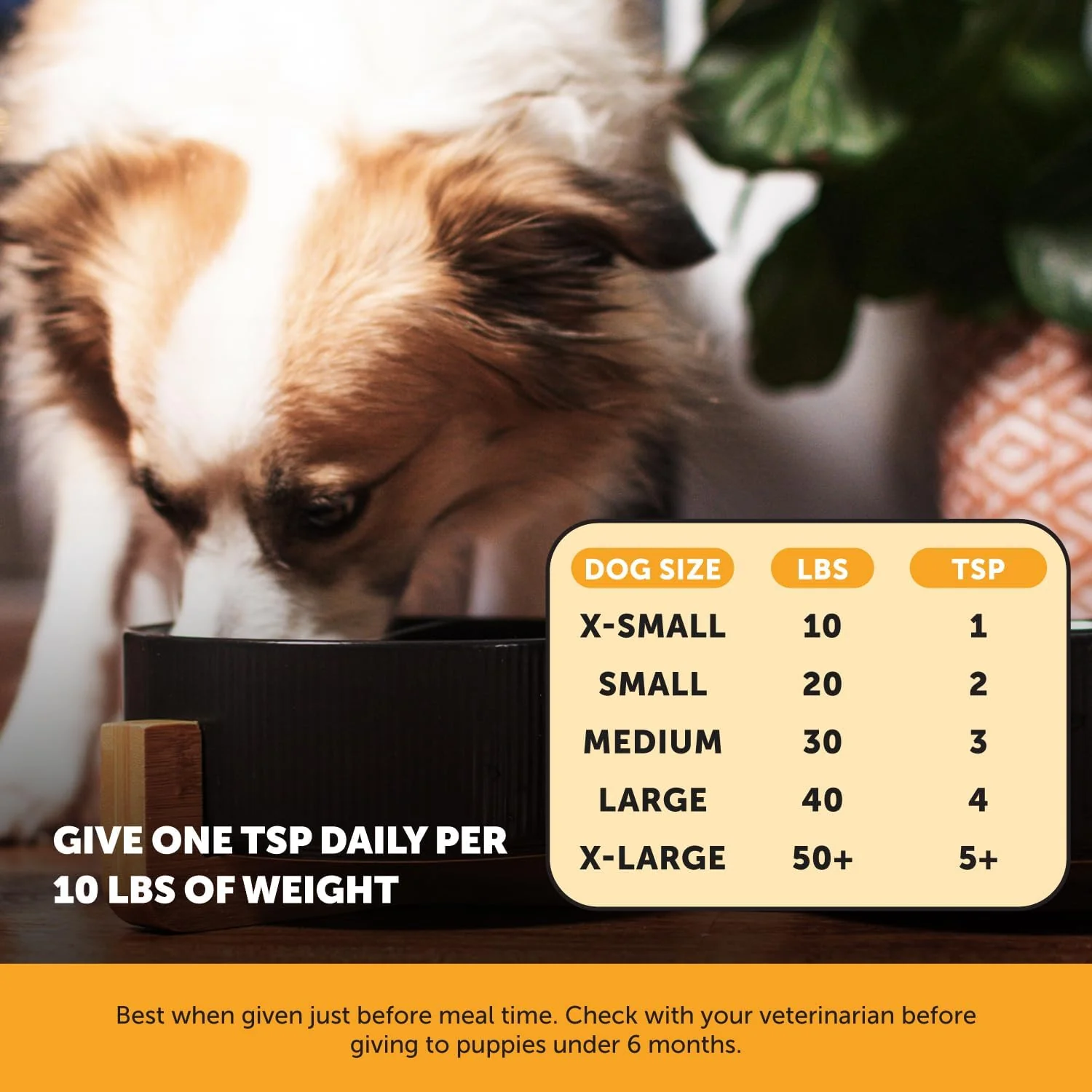 Pet Honesty Allergy Anti-Itch Salmon Oil For Dogs - 16 oz. - Image 4