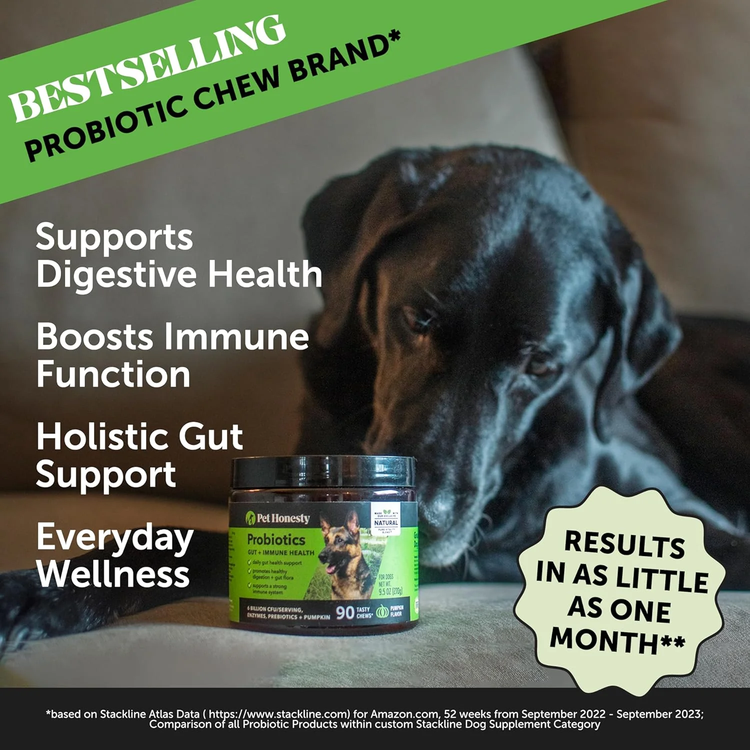 Pet Honesty Digestive Probiotics Chews For Dogs - Pumpkin Flavor - 9.5 oz. - Image 2