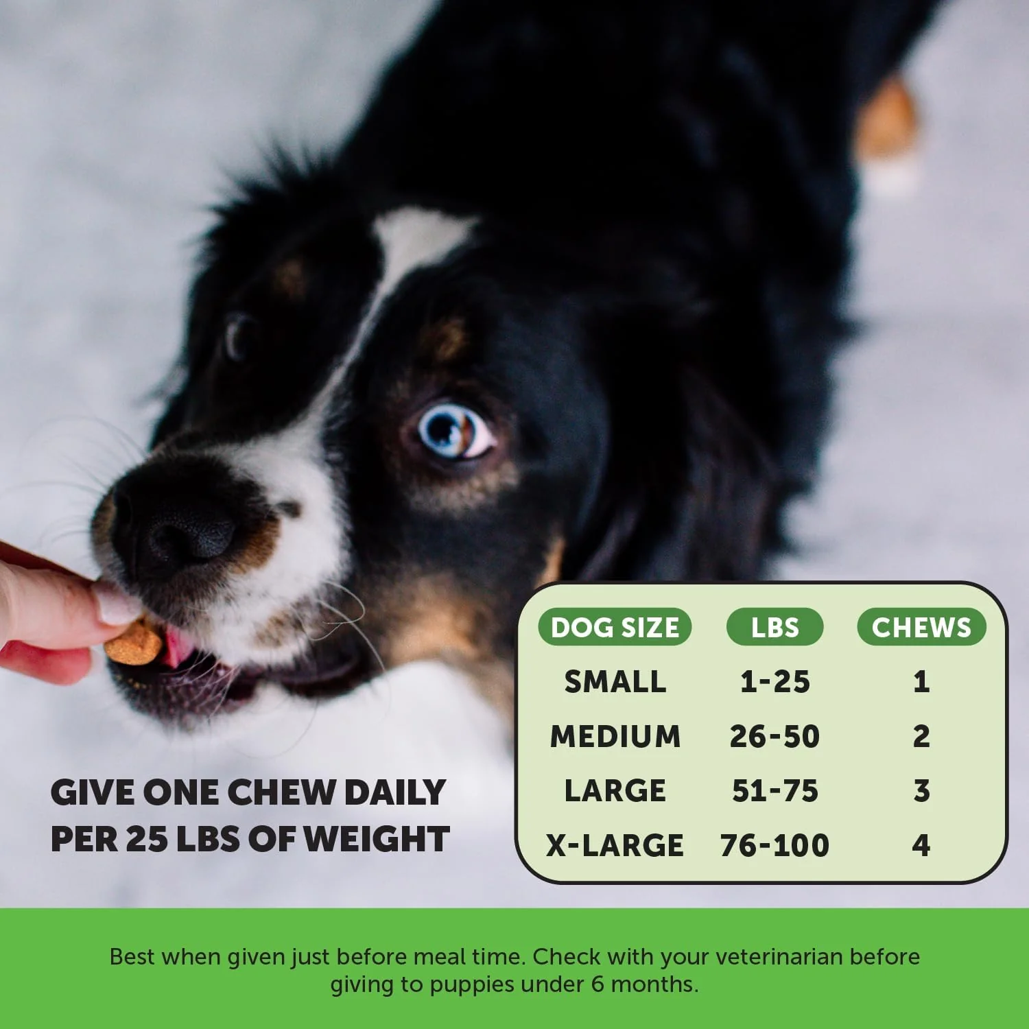 Pet Honesty Grass Green Chews For Dogs - Duck Flavor - 9.5 oz. - Image 4