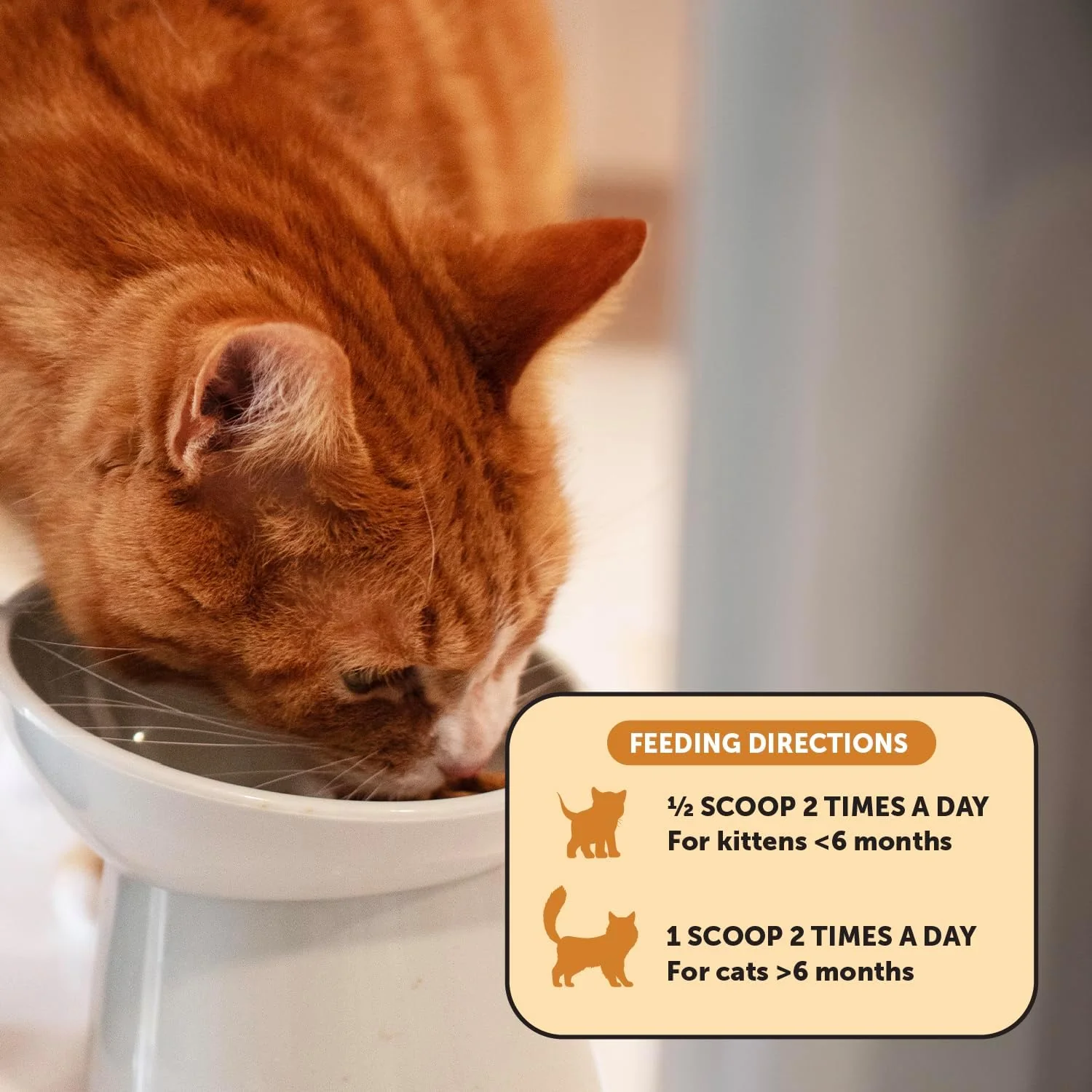 Pet Honesty Immune Health Lysine For Cats - Chicken & Tuna Flavor - 4.2 oz. - Image 4