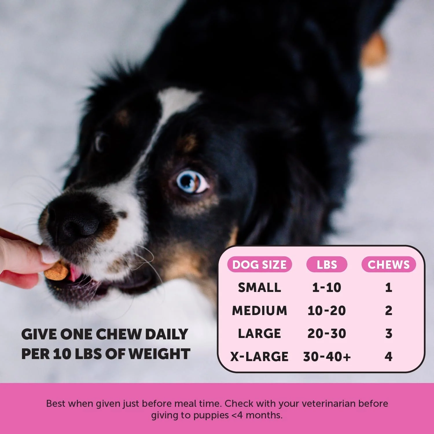 Pet Honesty Multivitamin Puppy Chews - Bacon Flavor - 6.35 oz. - Image 4