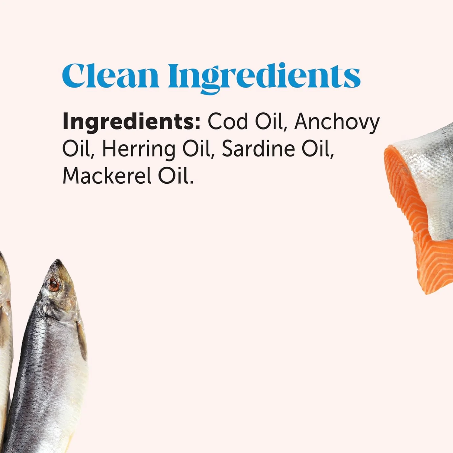 Pet Honesty Omega-3 Fish Oil - 16 oz. - Image 4