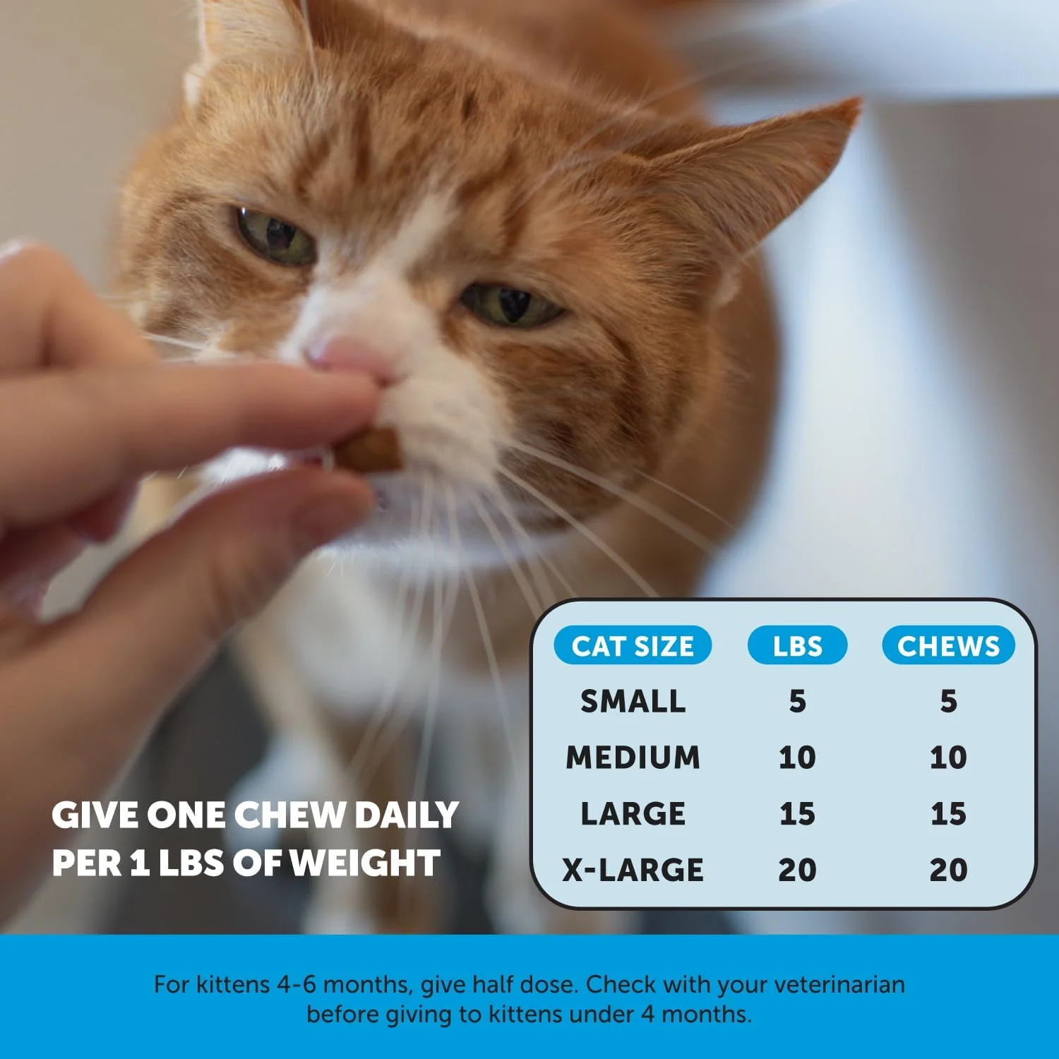 Pet Honesty Skin & Coast Health Supplement Chews For Cats - Chicken Flavor - 3.7 oz. - Image 5