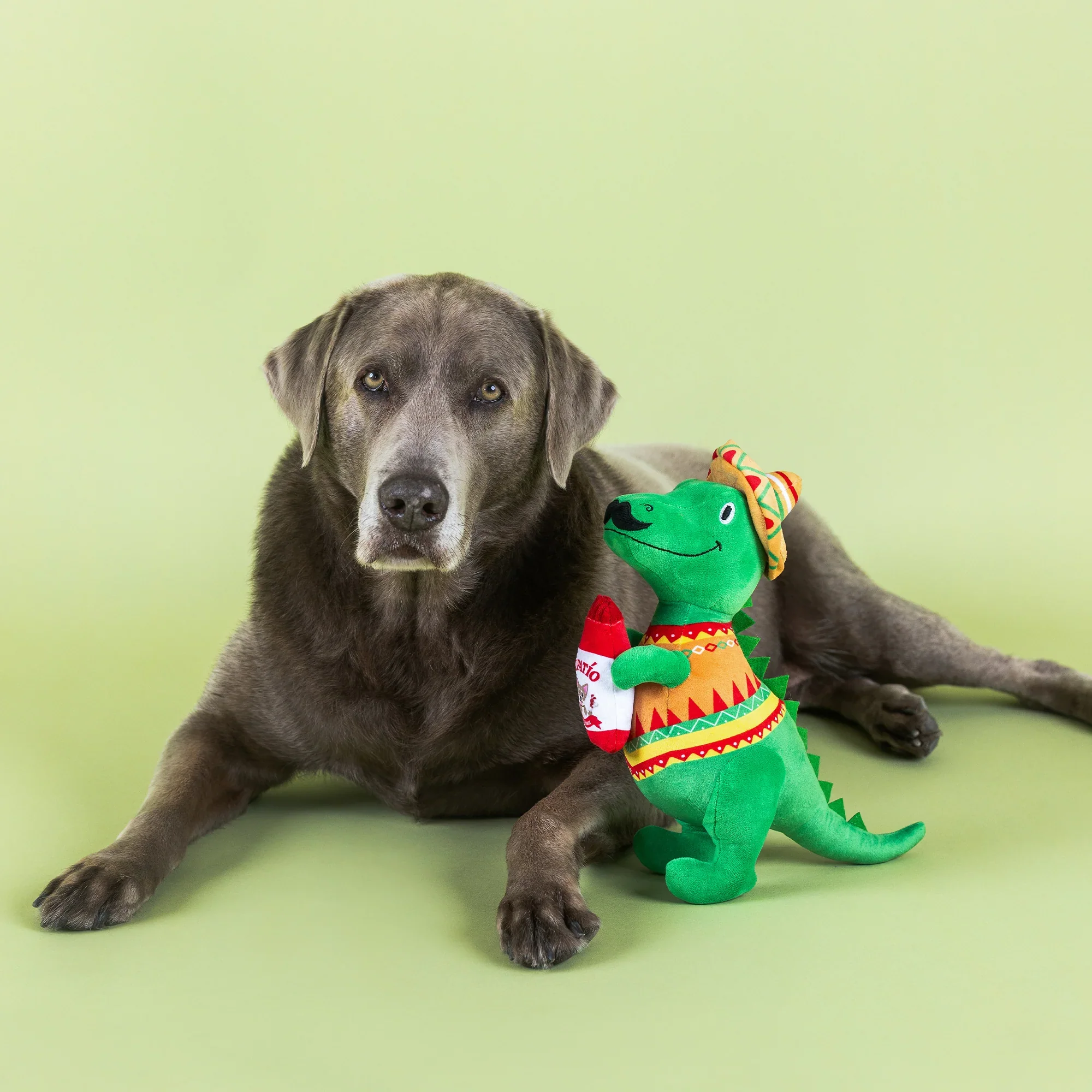 Petshop Fiesta Saurus Plush Dog Toy - Image 3
