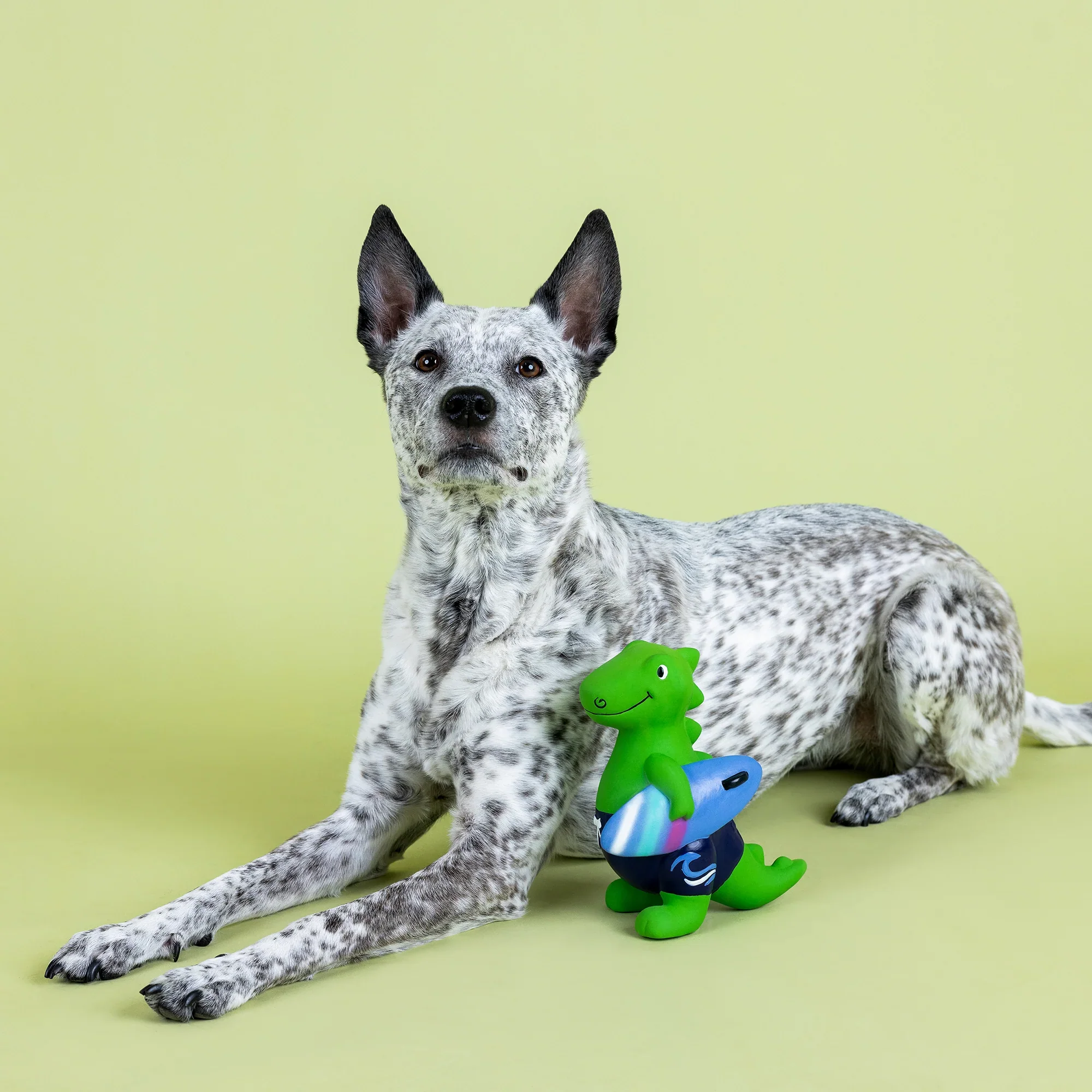 Petshop Good Vibes High Tides Latex Dog Toy - Image 3