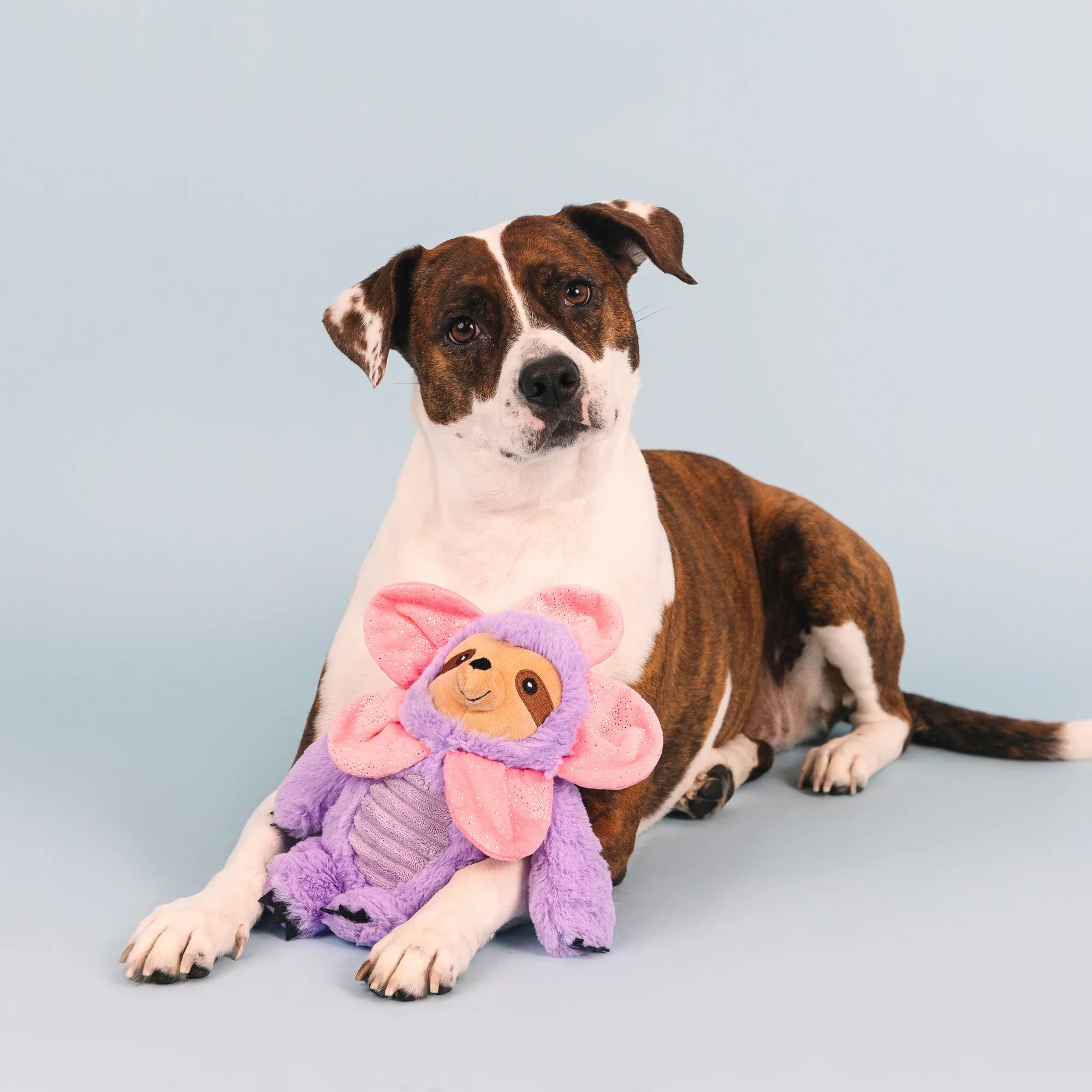 Petshop I'll Grow On You Plush Dog Toy - Image 3