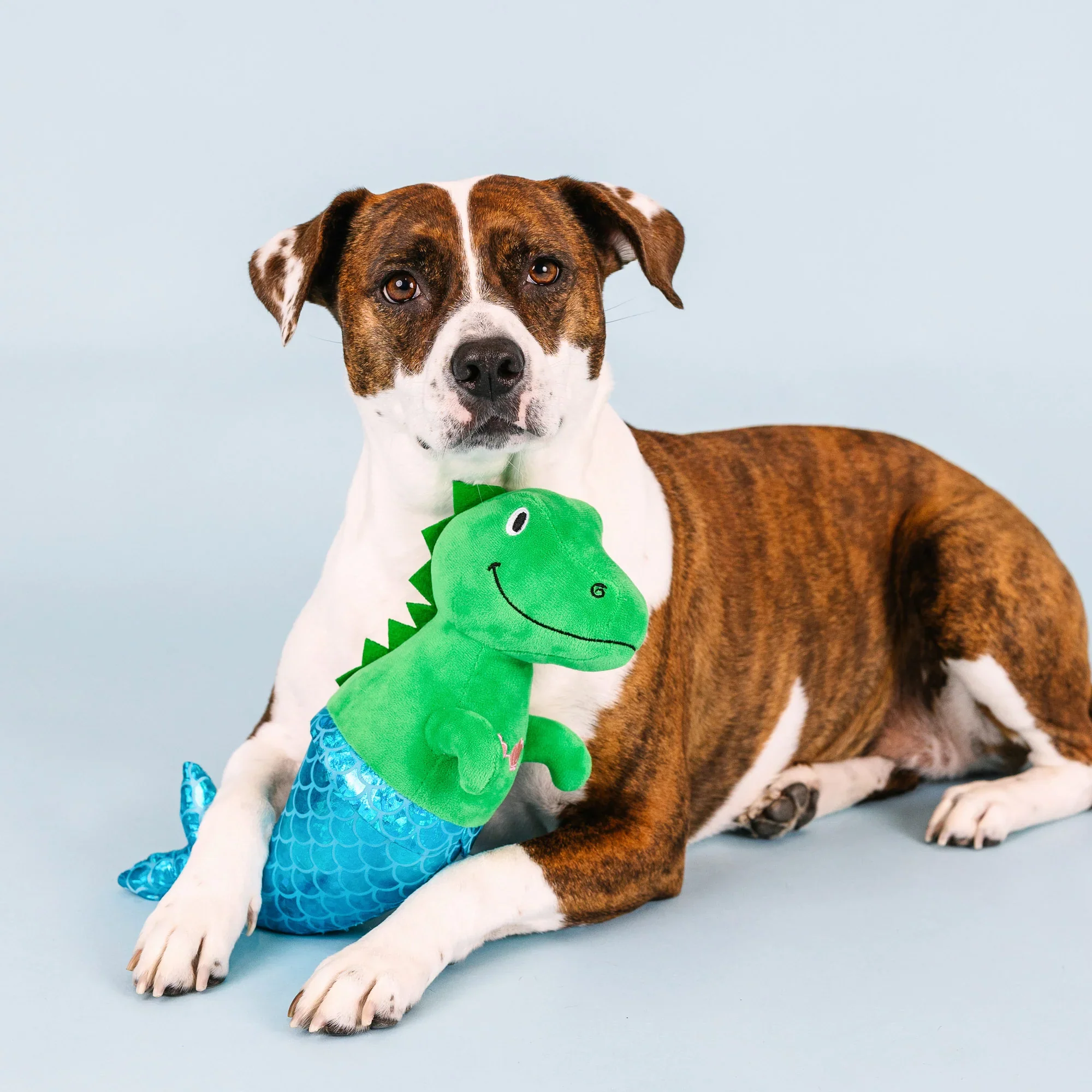 Petshop Mer-Rex Plush Dog Toy - Image 3