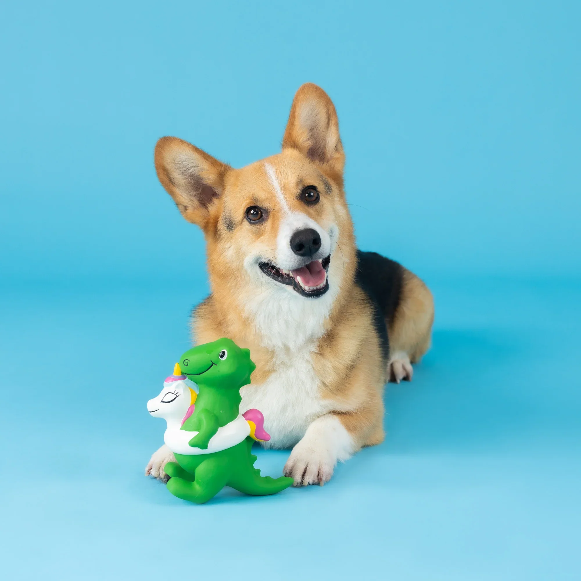 Petshop Pool Side Rex Latex Dog Toy - Image 3