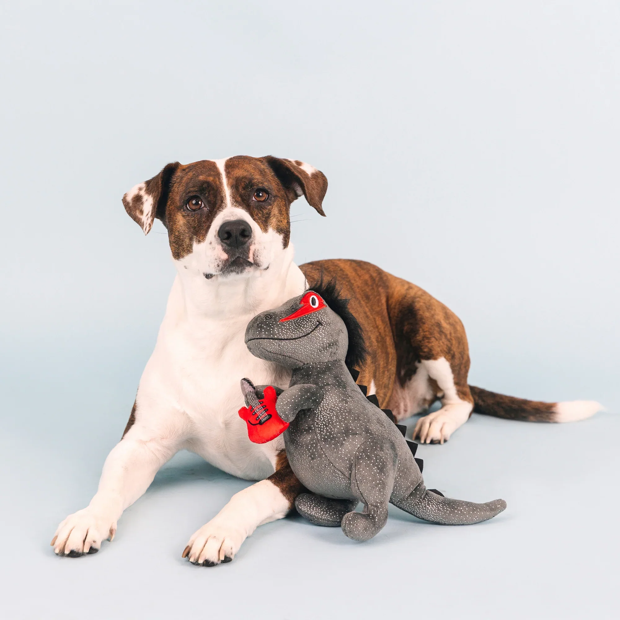 Petshop Rocker Rex Plush Dog Toy - Image 3