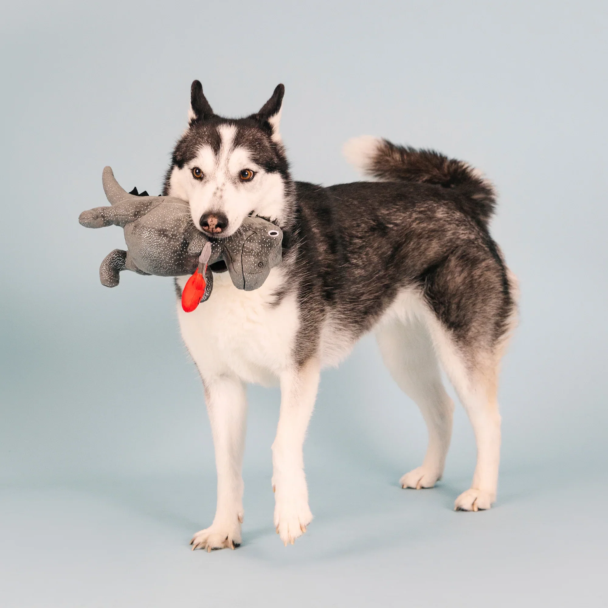 Petshop Rocker Rex Plush Dog Toy - Image 4