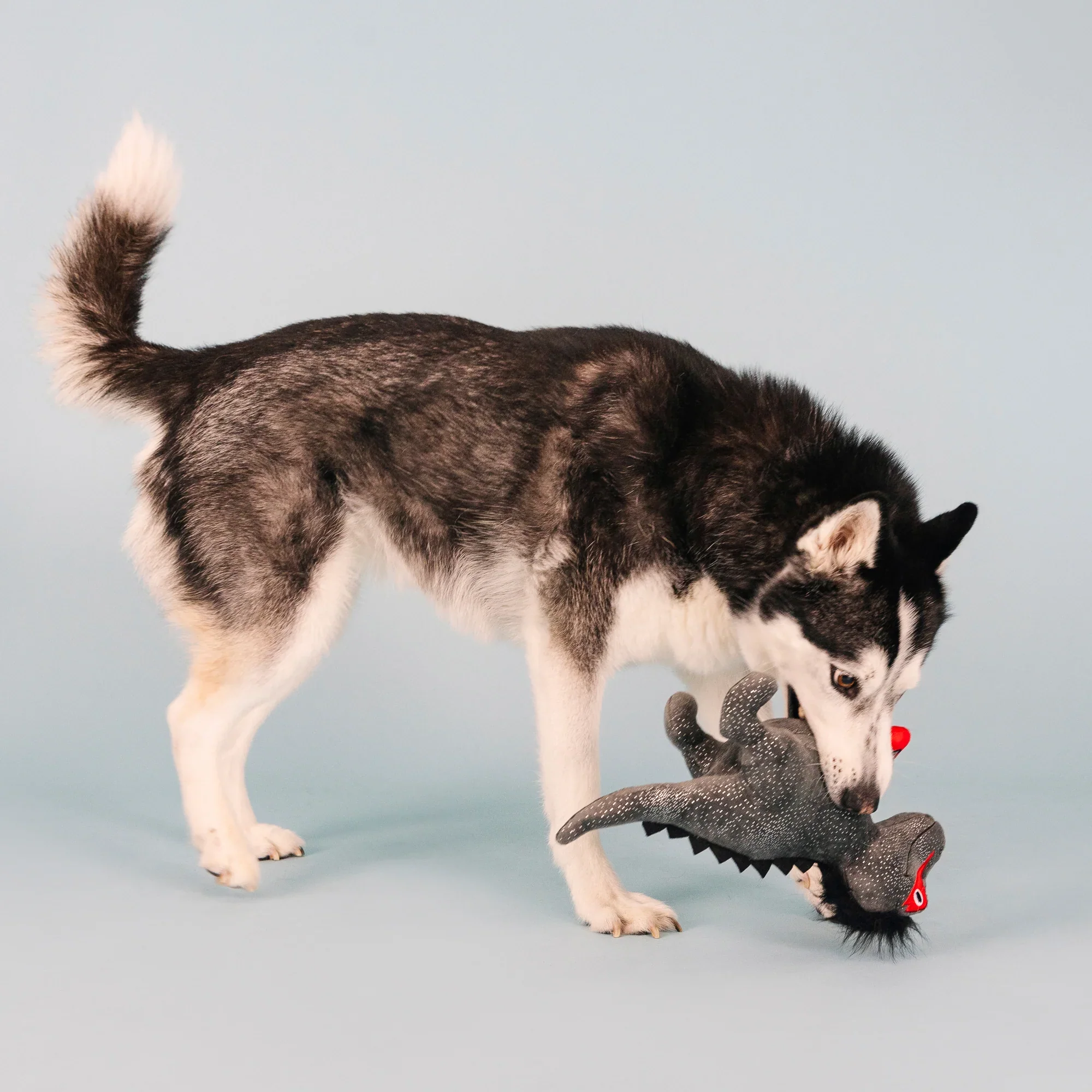 Petshop Rocker Rex Plush Dog Toy - Image 5