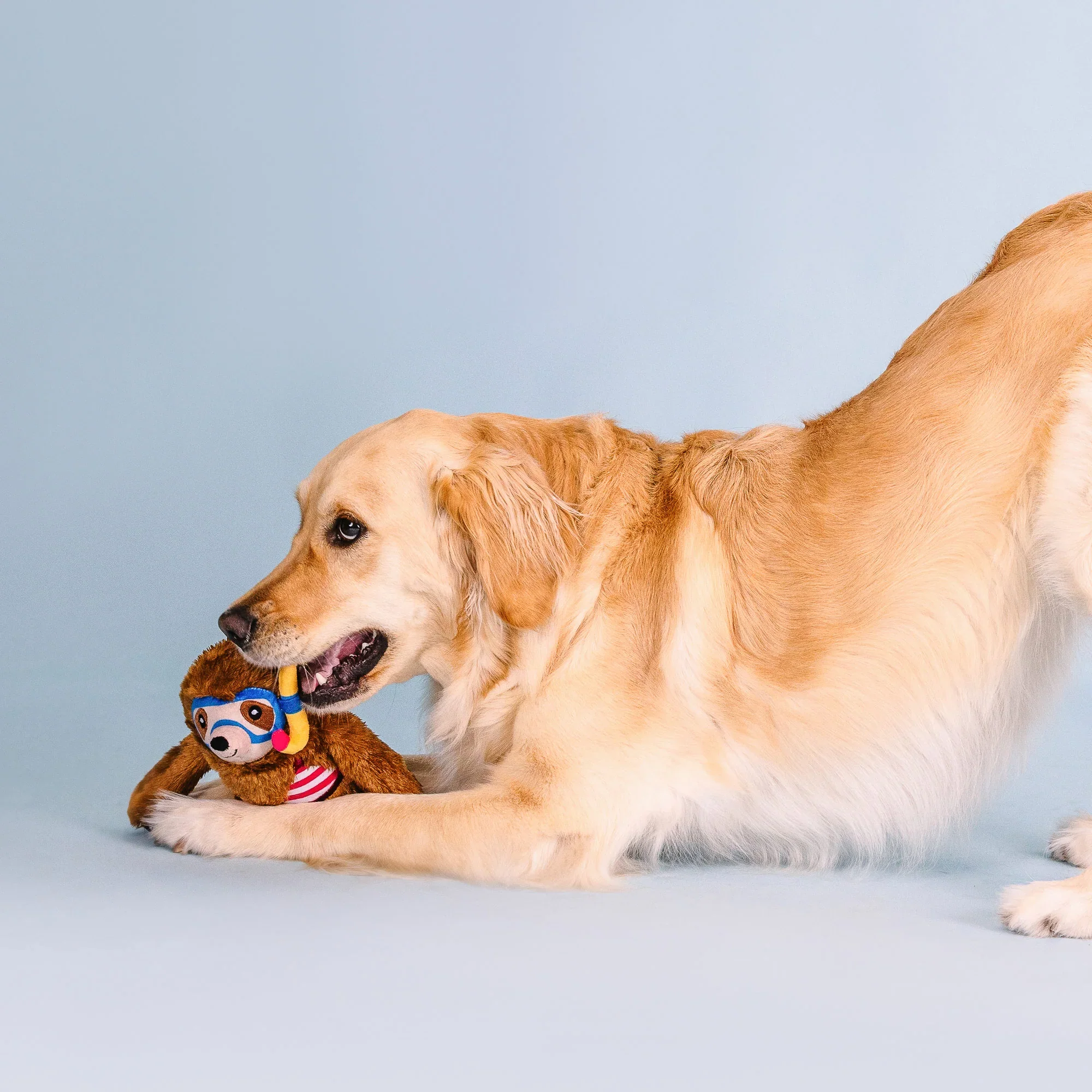 Petshop Swimmin' With The Fishes Plush Dog Toy - Image 5