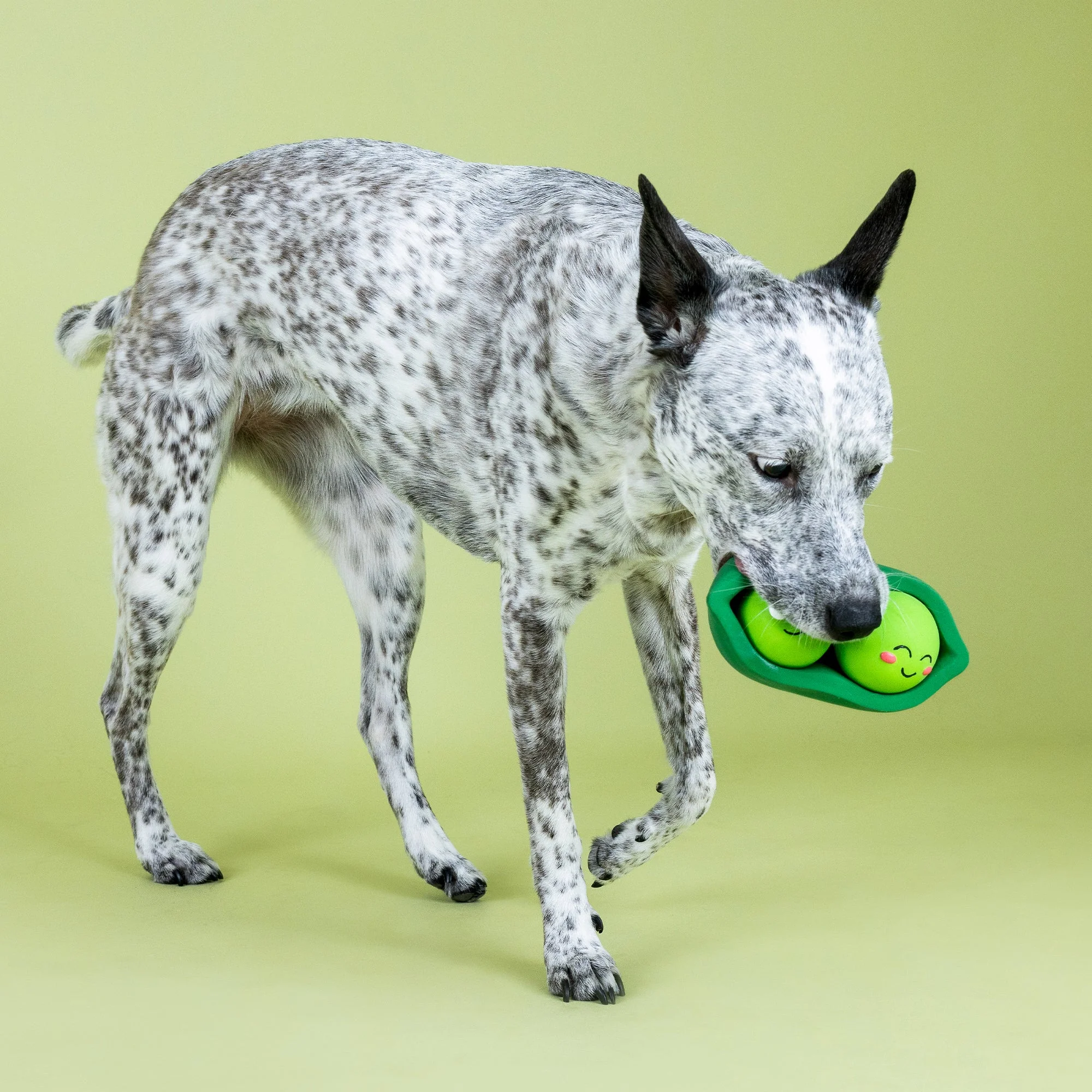 Petshop We Comee in Peas Latex Dog Toy - Image 6