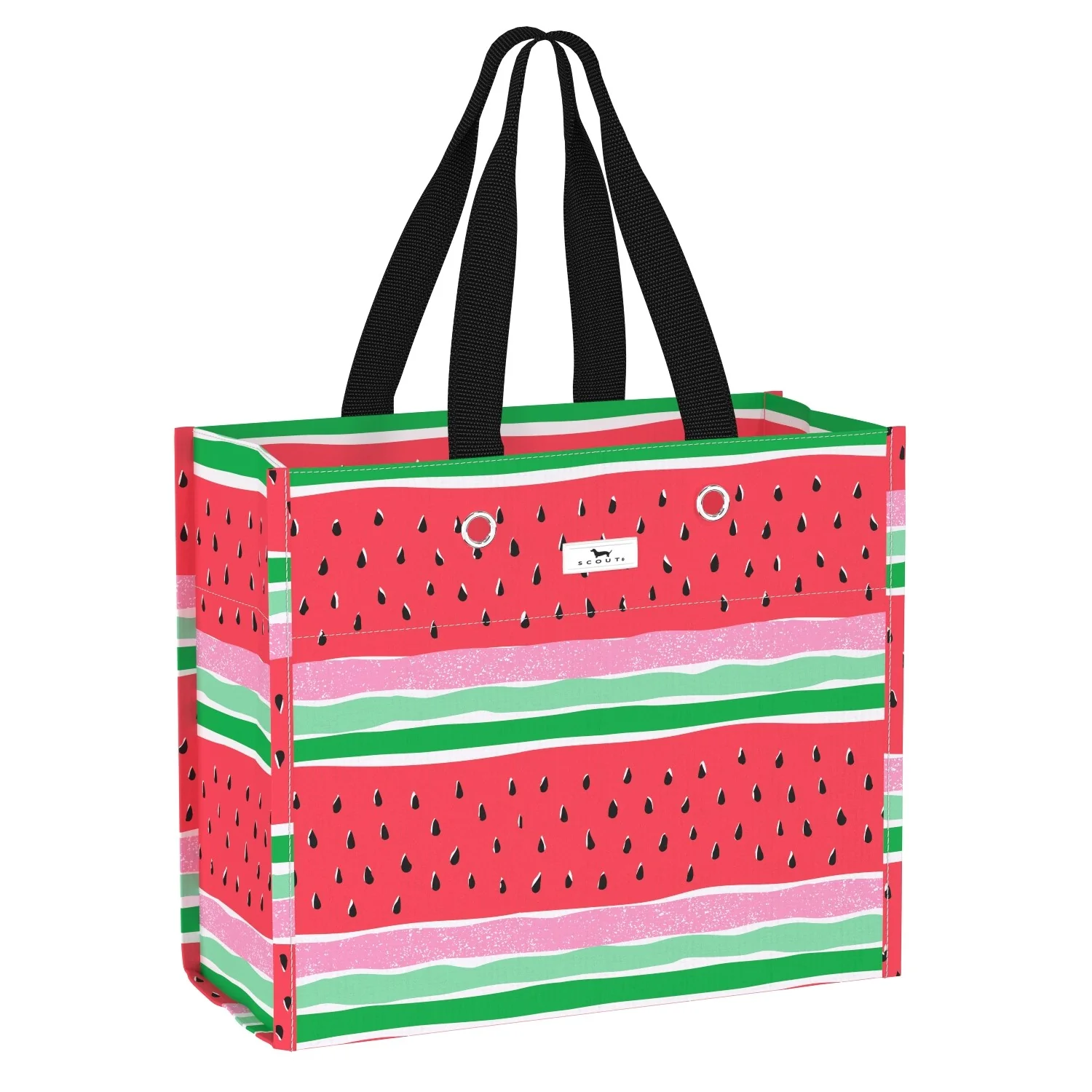 Scout Large Package Gift Bag