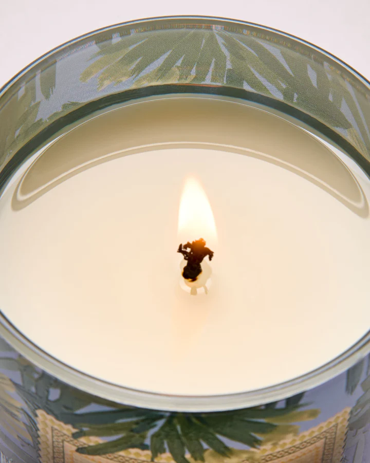 Bath & Body Works Single Wick Candle - Warm Ocean Breeze - Image 4