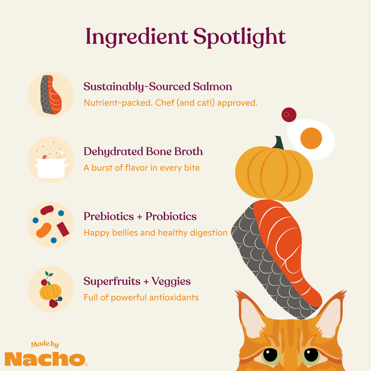 Made By Nacho Bone Broth Infused Kibble Sustainably Caught Salmon & Pumpkin Recipe Cat Food - 4 lb. - Image 5