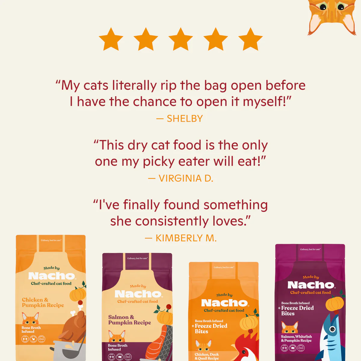 Made By Nacho Bone Broth Infused Kibble Sustainably Caught Salmon & Pumpkin Recipe Cat Food - 4 lb. - Image 6
