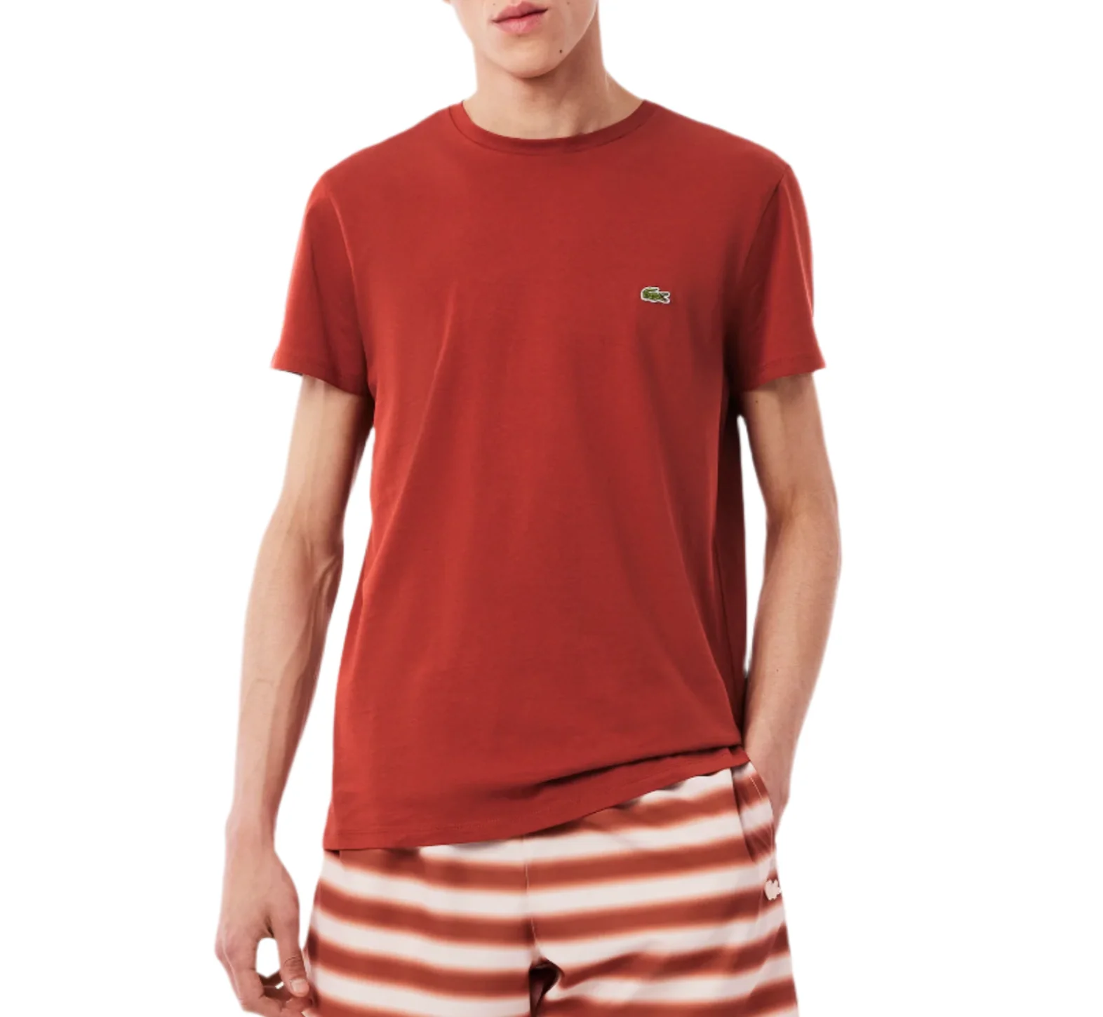 Lacoste Mens Pima Cotton Short Sleeve T-Shirt - Image 3