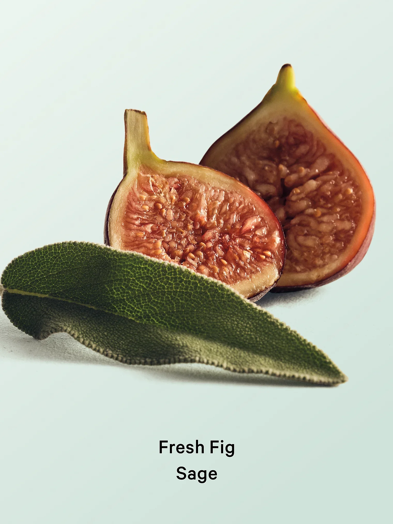 Victoria's Secret Fresh Fig Sage Hydrating Body Lotion - Image 2