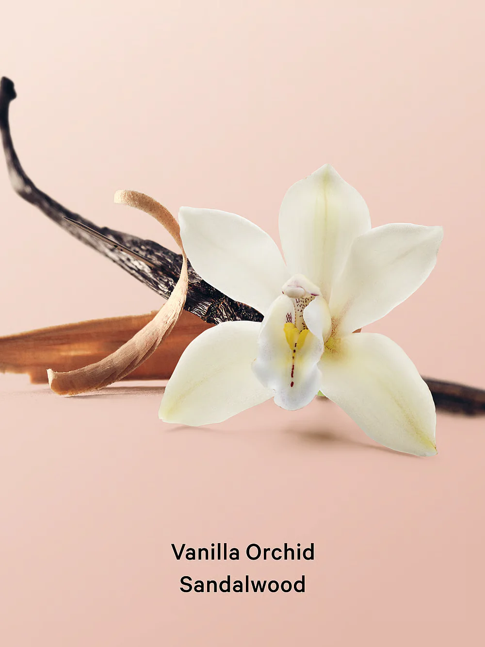 Victoria's Secret Vanilla Orchid Sandalwood Whipped Body Scrub - Image 2