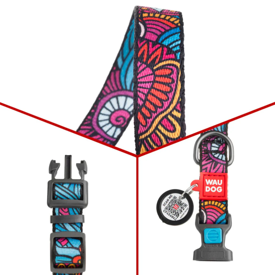 WAUDOG Nylon Dog Collar with QR-Passport - Size Large - Image 2