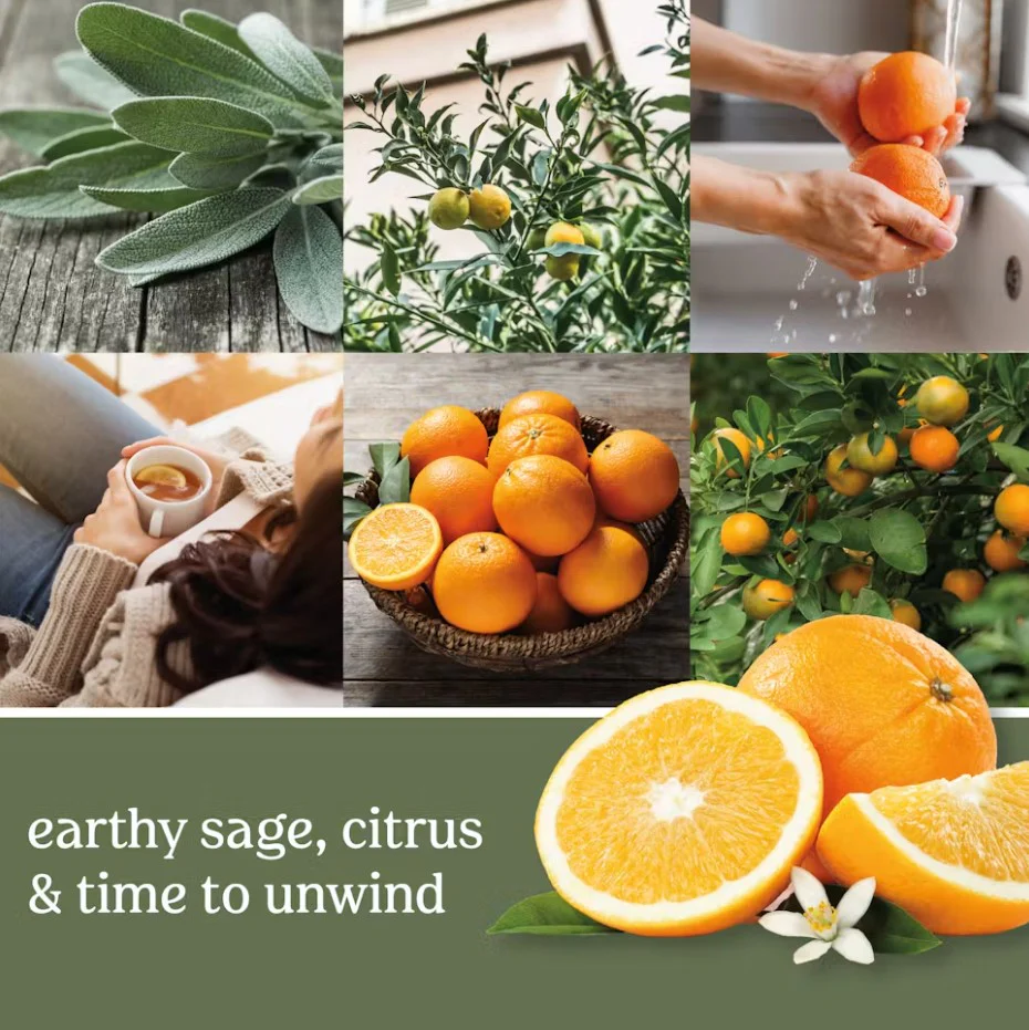Yankee Candle 3-Wick Candle - Sage & Citrus - Image 3