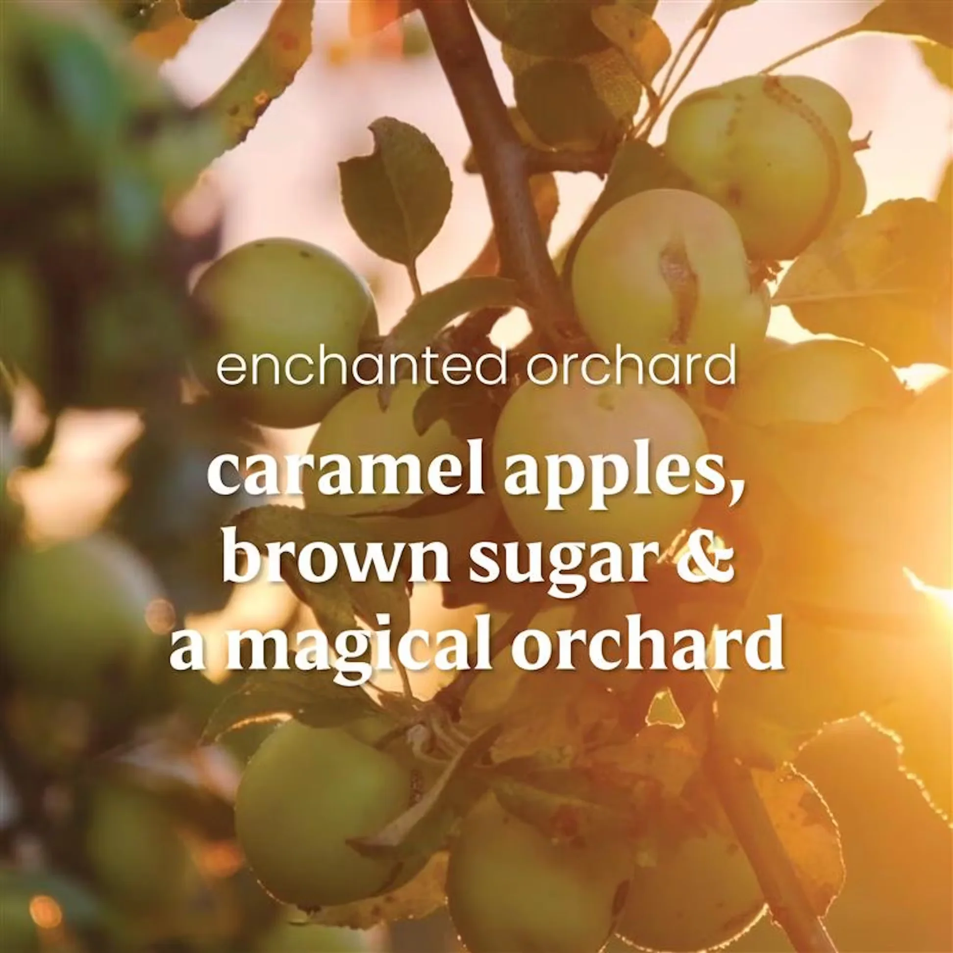 Yankee Candle Scenterpiece Easy MeltCup - Enchanted Orchard - Image 3