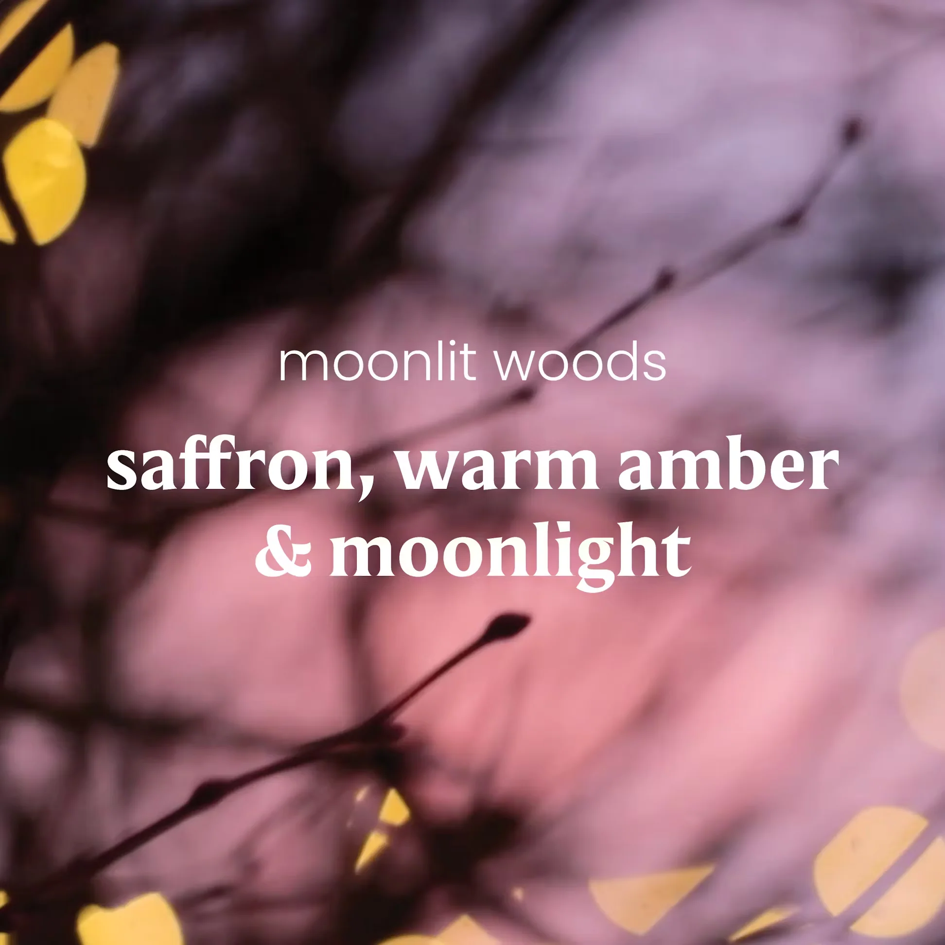 Yankee Candle ScentPlug Refill - Moonlit Woods - Image 2