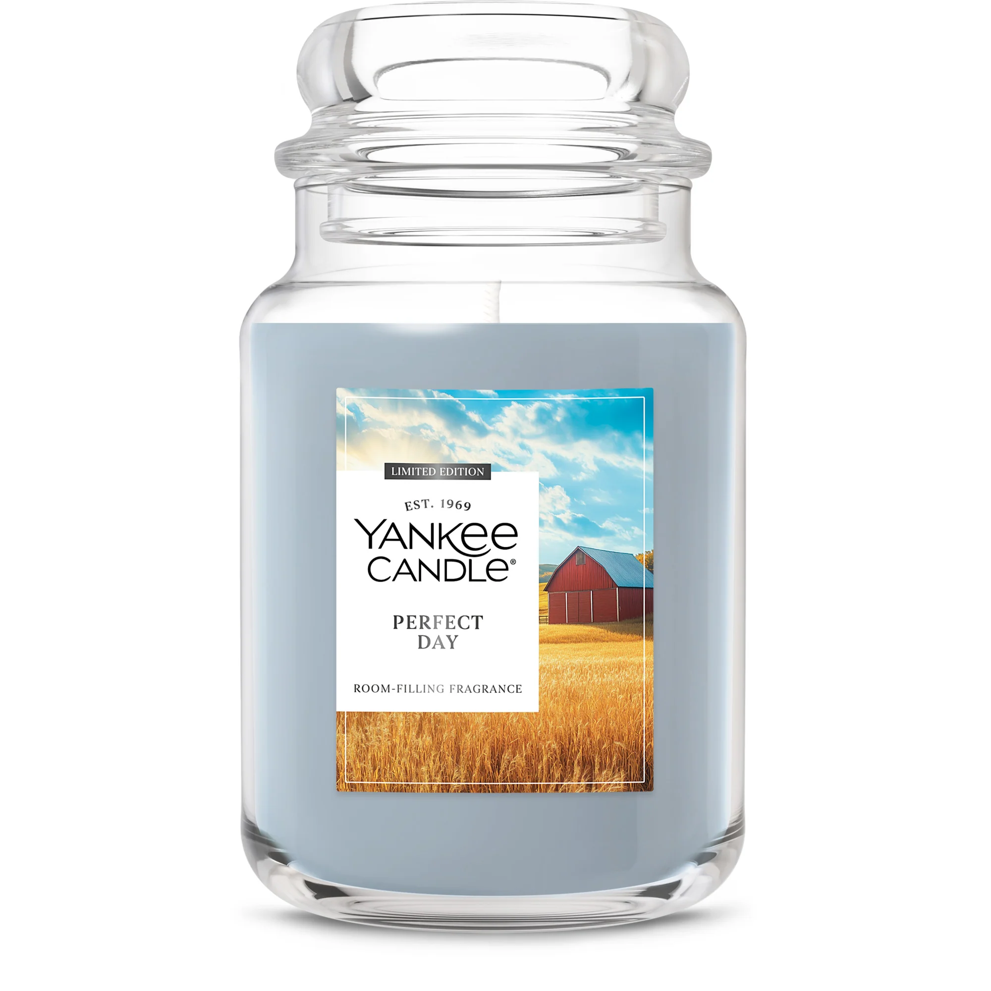 Yankee Candle Original Large Jar Candle - Perfect Day